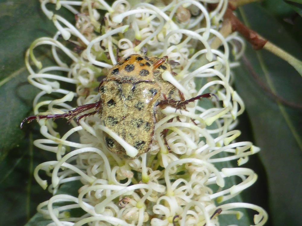 Image: Sighting by Mary Bell