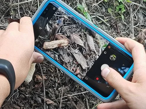 OutdoorClassroomDay.jpg