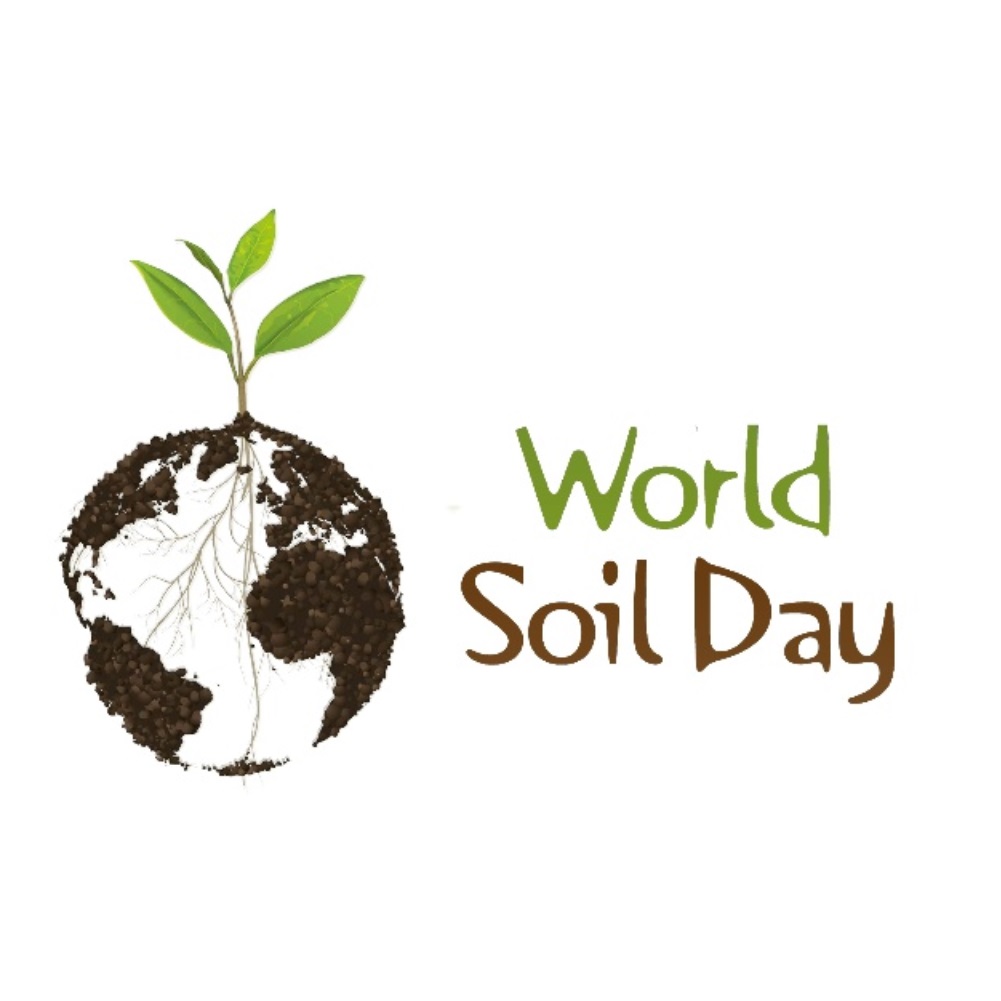 soil.jpg