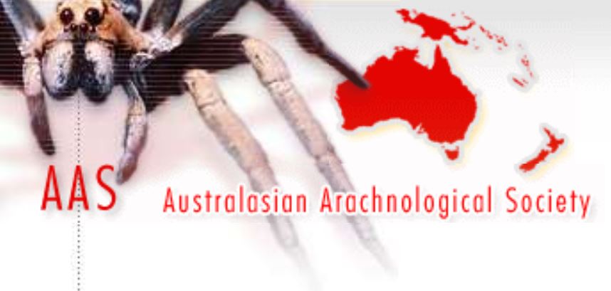 Australasian Arachnological Society