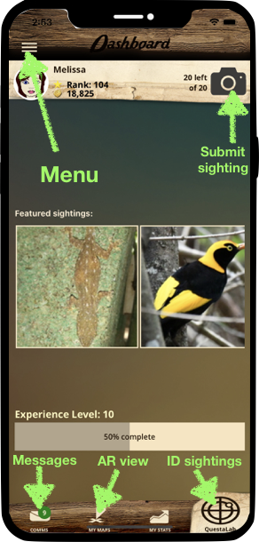 If you have a DSLR camera, you can upload photos via bee.questagame.com.