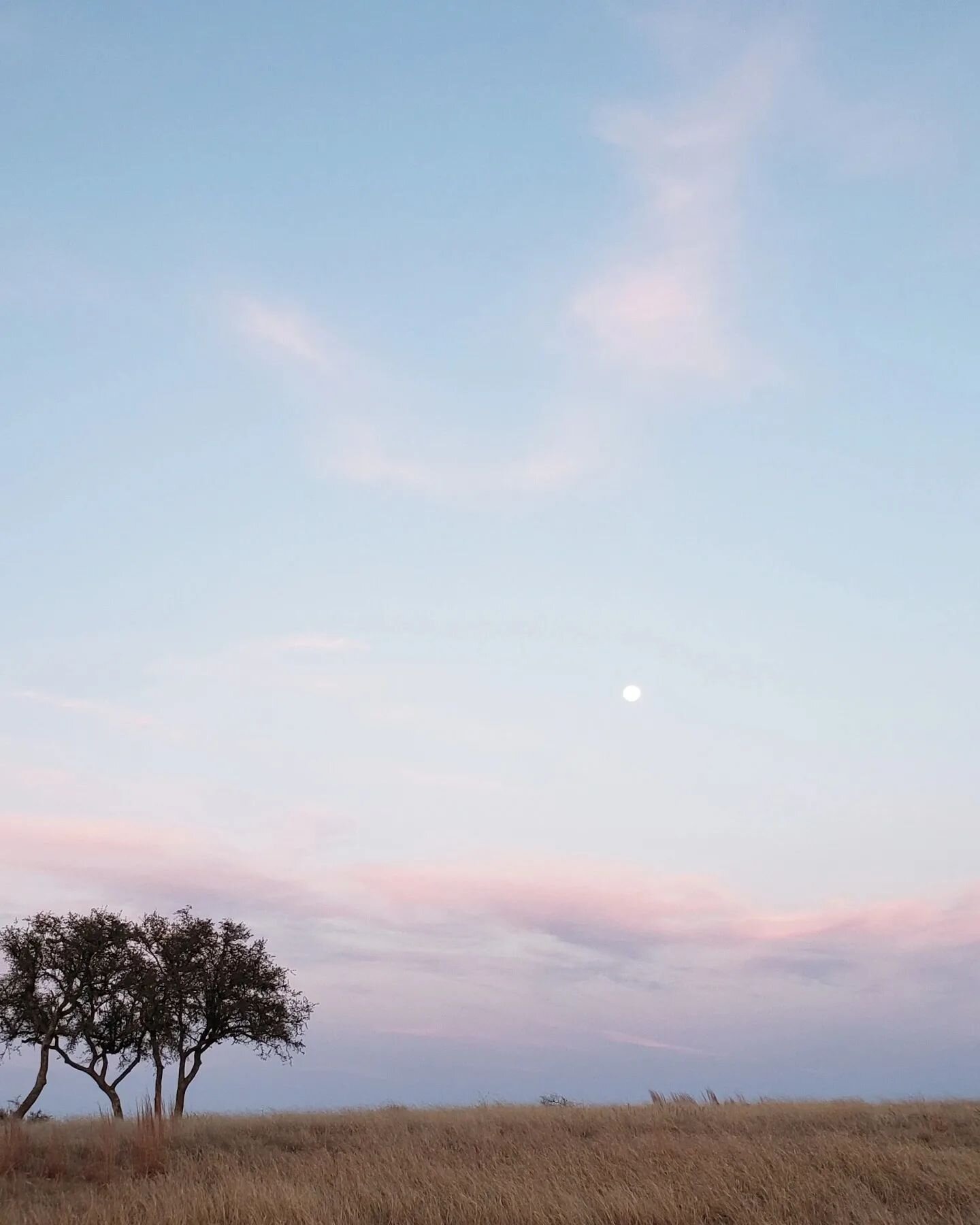 I am headed to FL for 2 shoots in March, but this unfiltered Texas sky will be calling me back, probably in Summer. 
I might be throwing a little CA travel in there somewhere too. 💕

Do you have plans to travel this year? 

#freelancephotographer #t