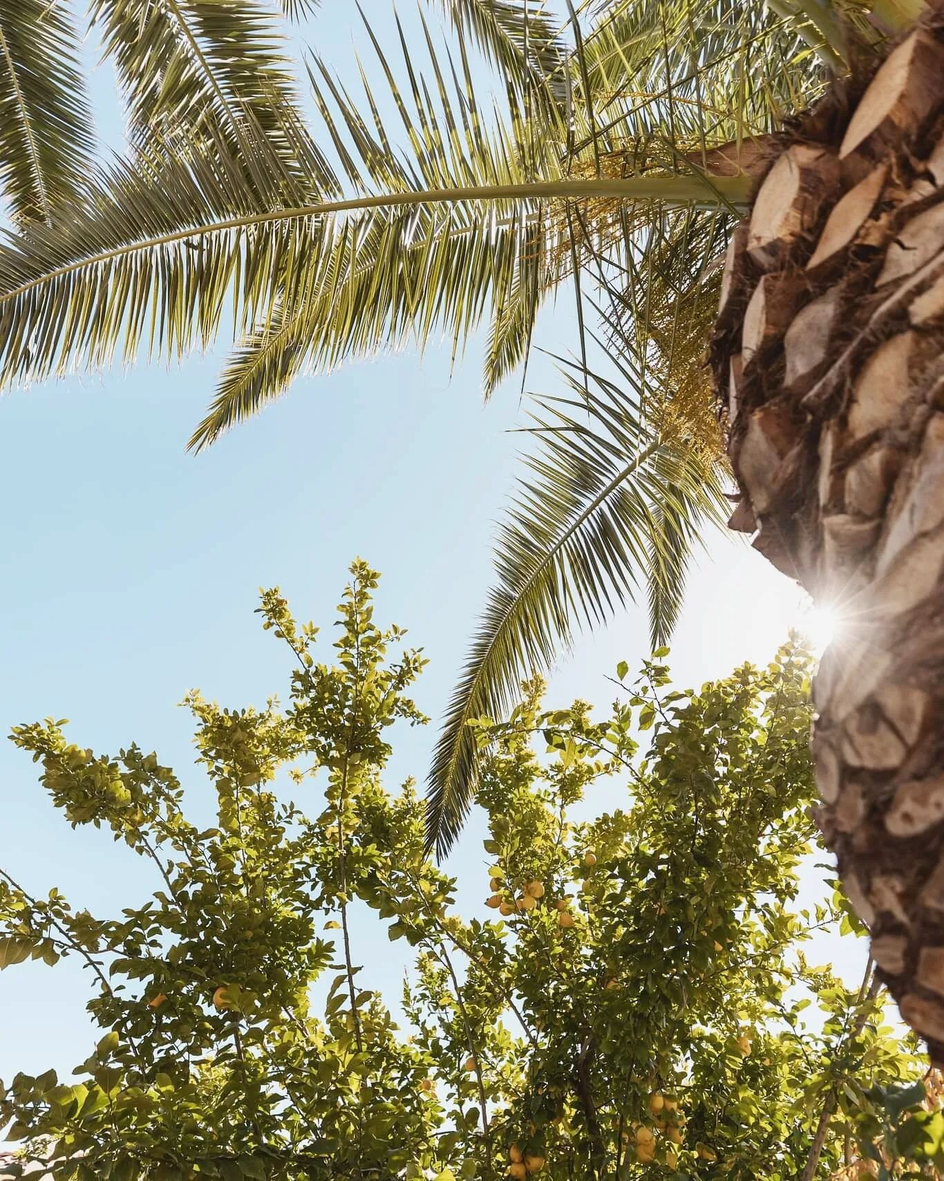 It may still be in the 60s-70s every afternoon, but your air bnb and real estate listings don't need to show that!

Show off those palm trees, pools and loungers every chance you get. 💯

#azairbnb #poolside #commercialphotographer #desertliving #pal