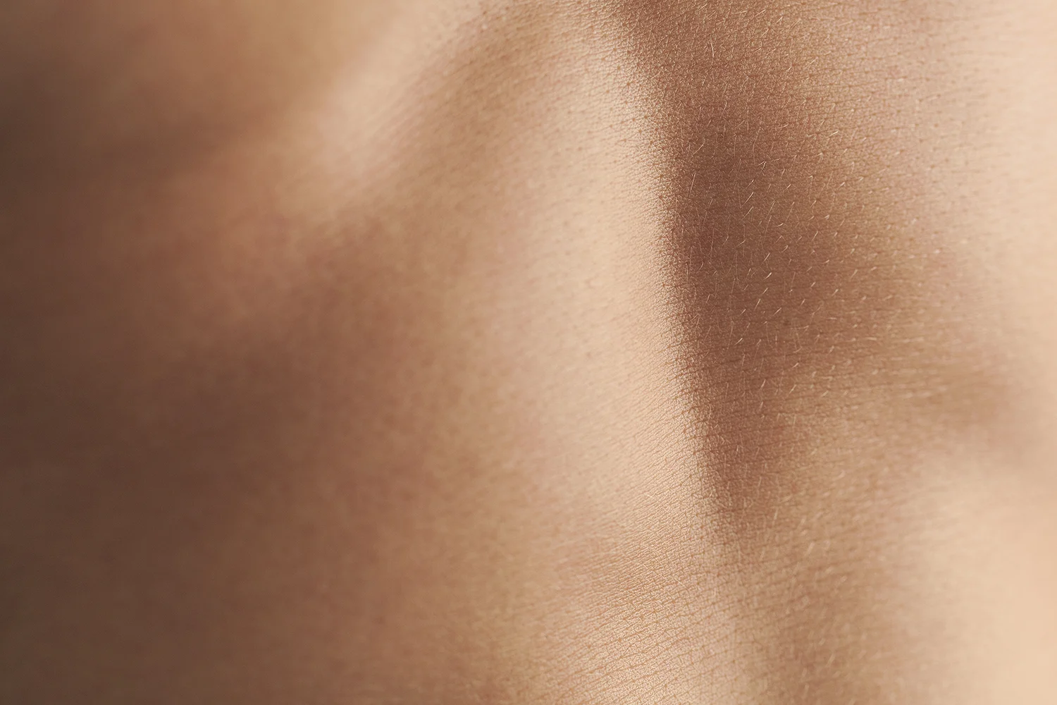 Dermohplast_4268 CROP.jpg