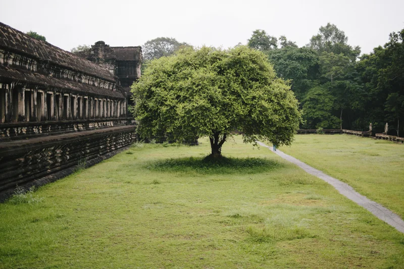 Cambo-Siem-Reap-6.jpg