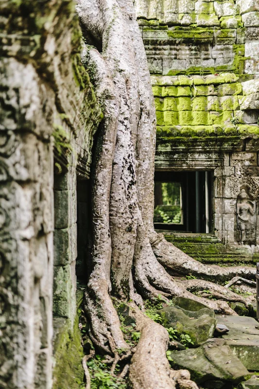 Cambo-Siem-Reap-18.jpg