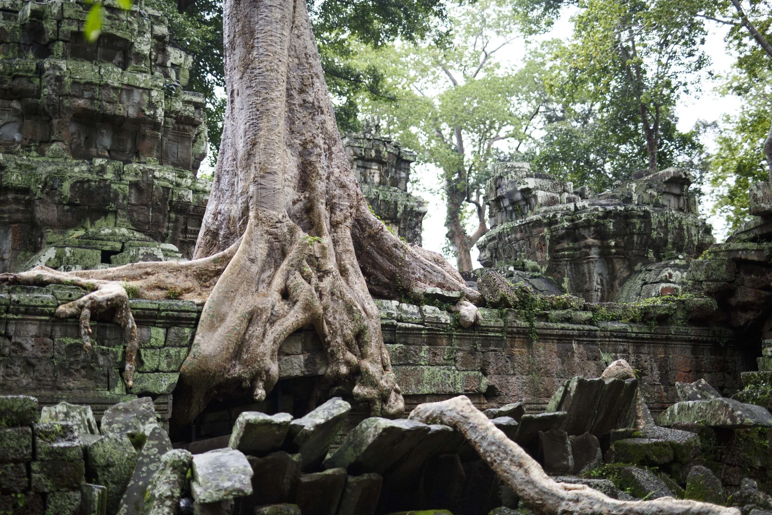 Angkor-Wat-46.jpg