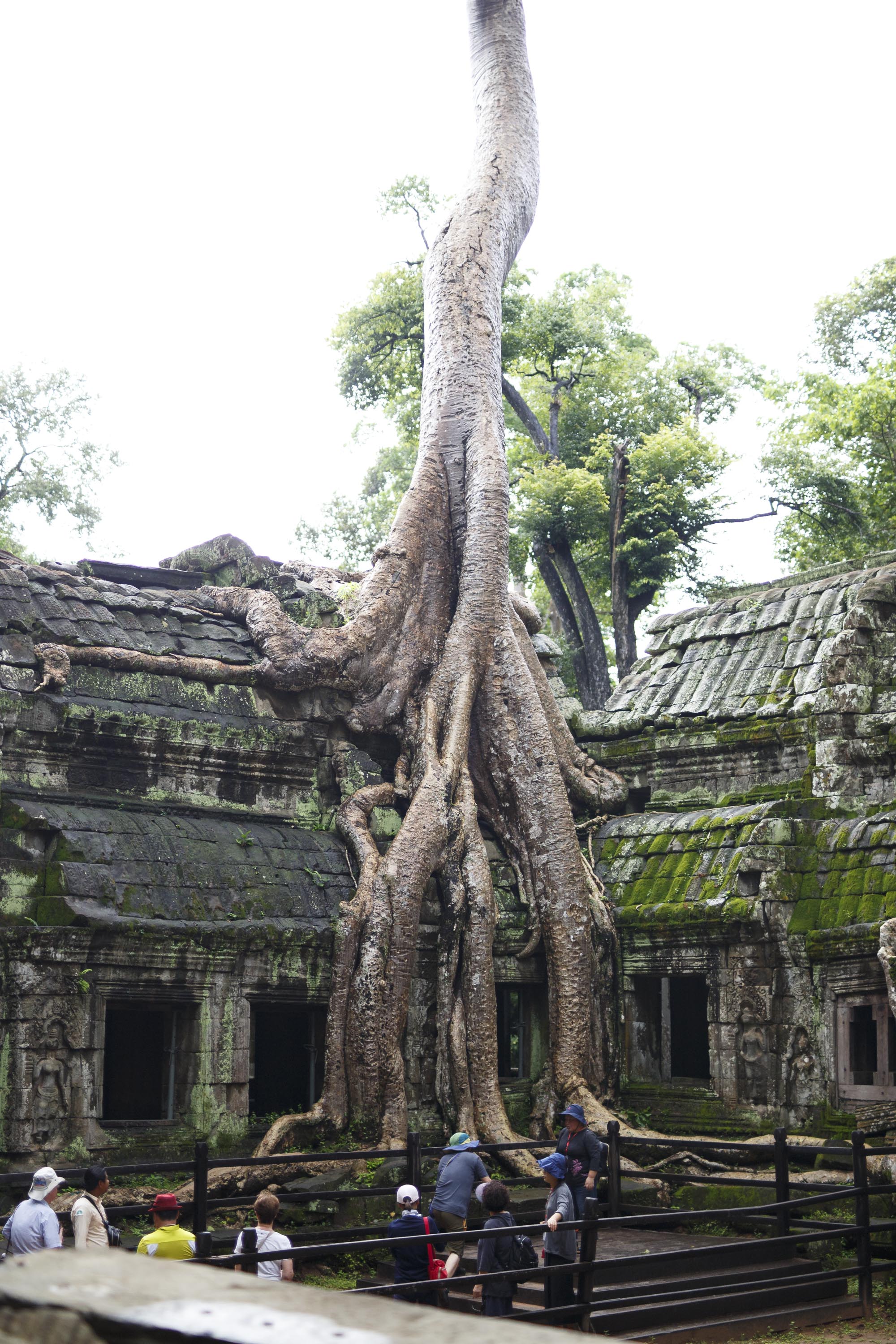 Angkor-Wat-49.jpg