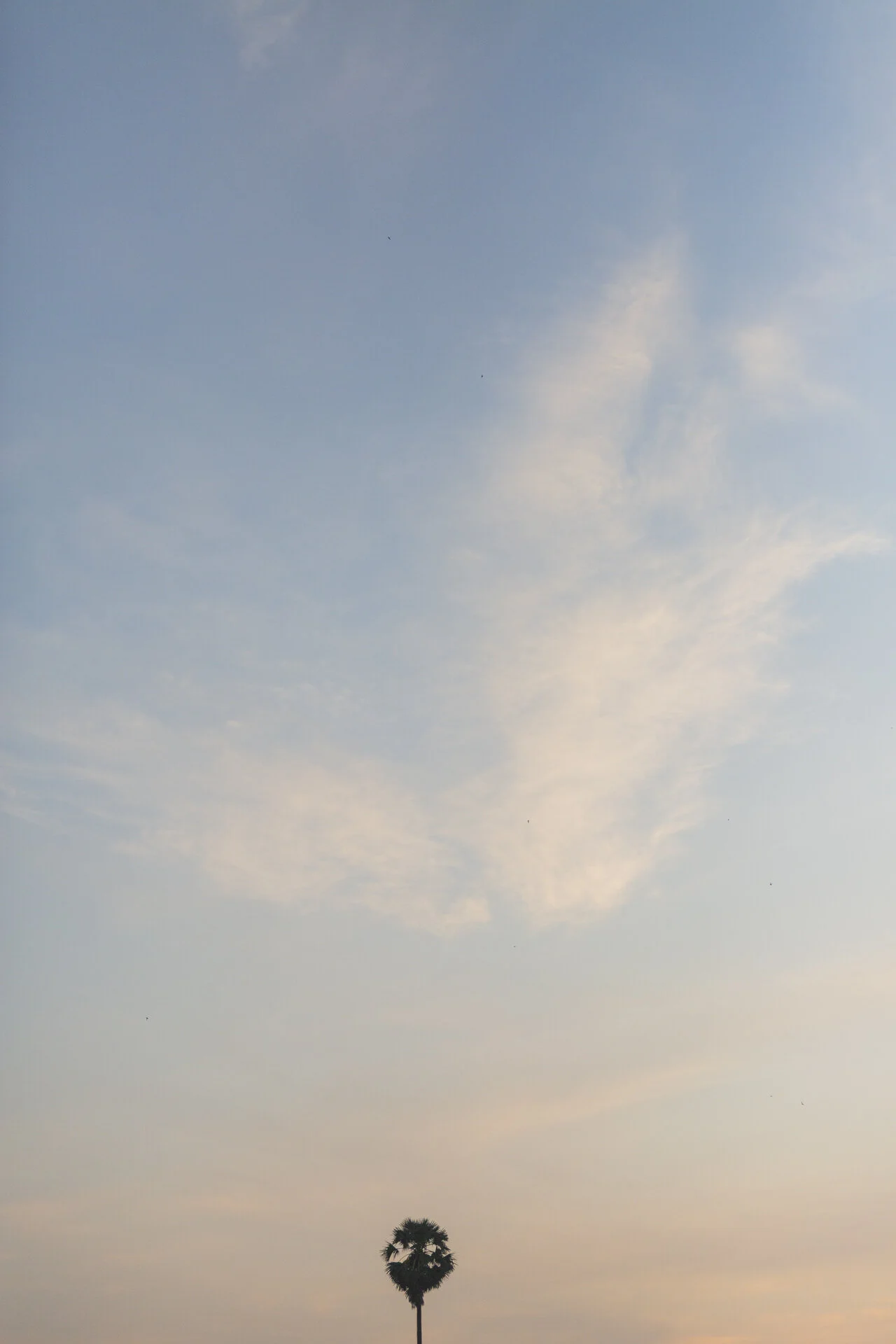 nccincambodia2019-20.jpg