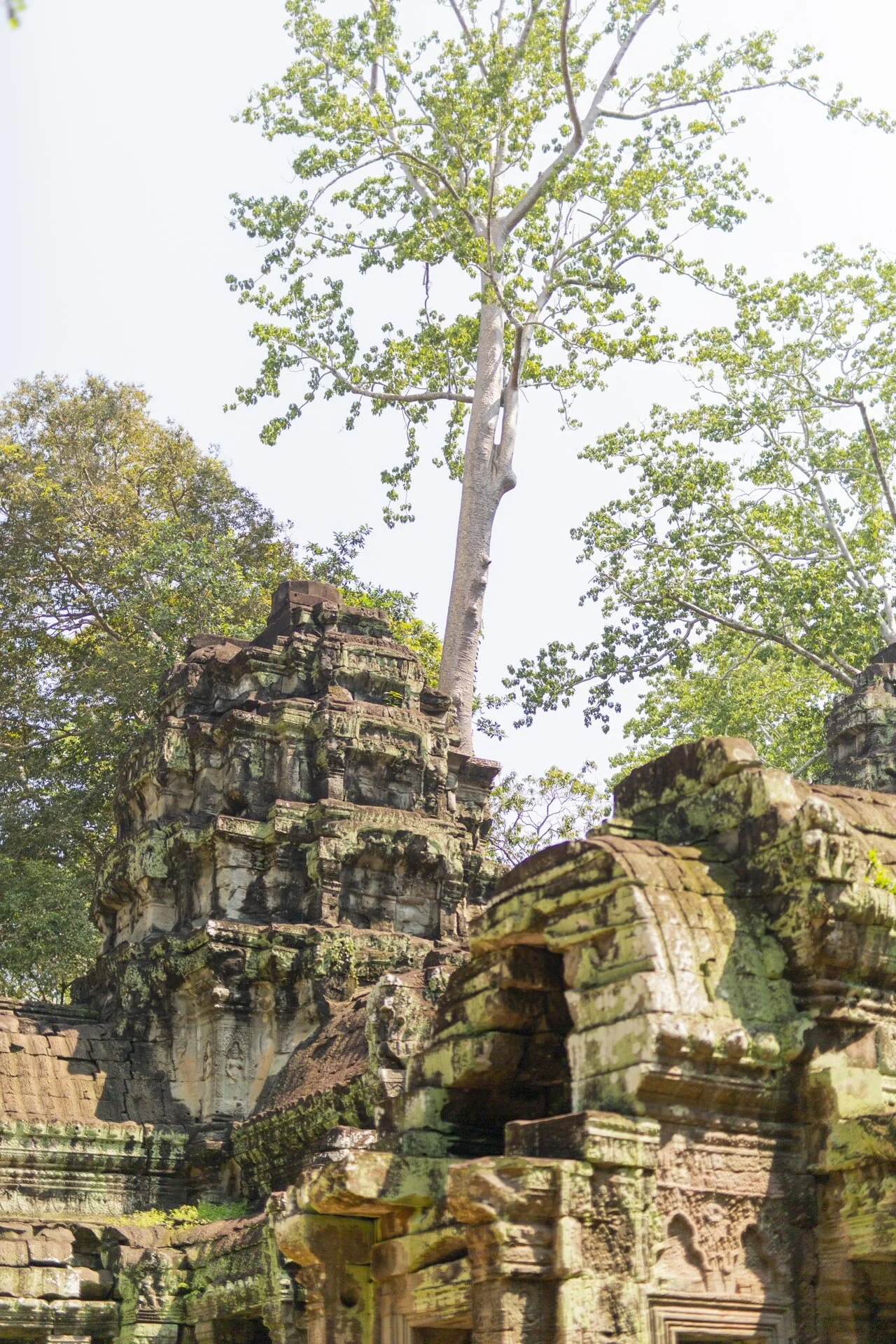 nccincambodia2019-41.jpg