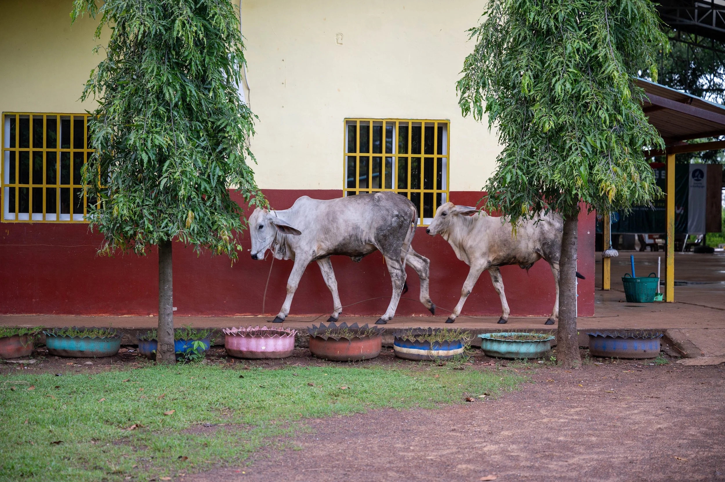 DSC_4230.jpg