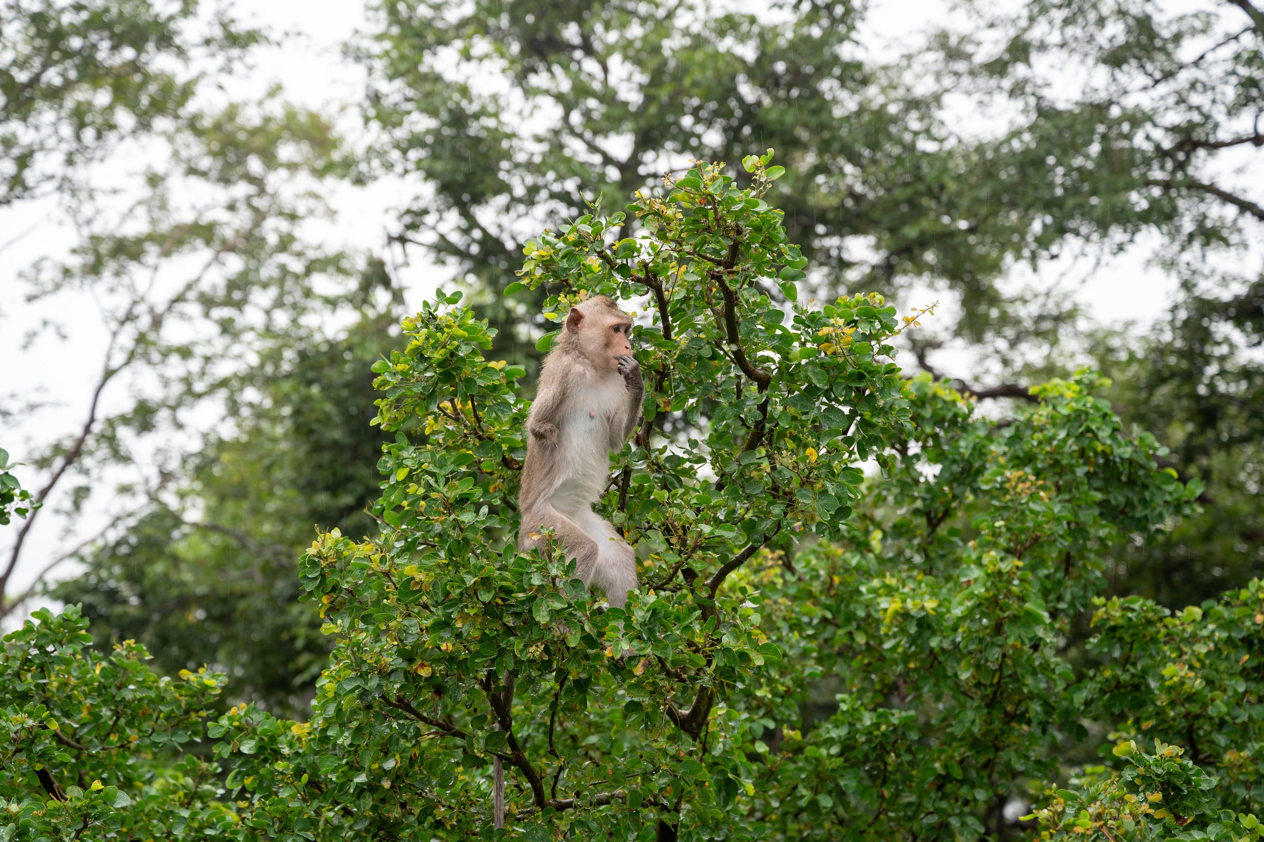 DSC_6547.jpg