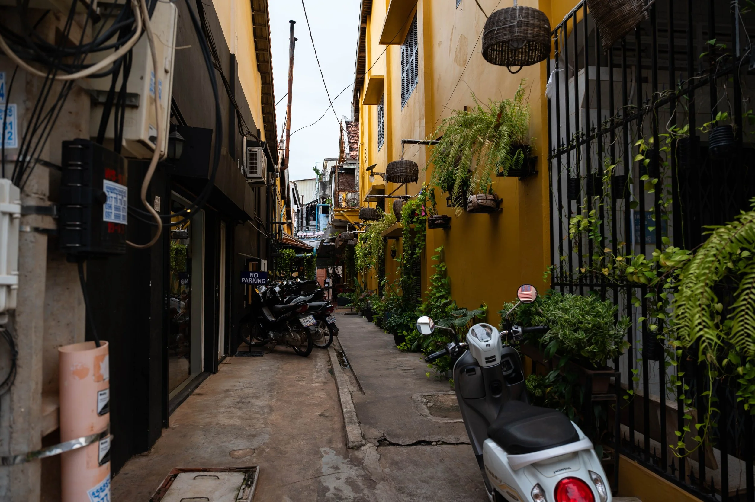 DSC_7768.jpg