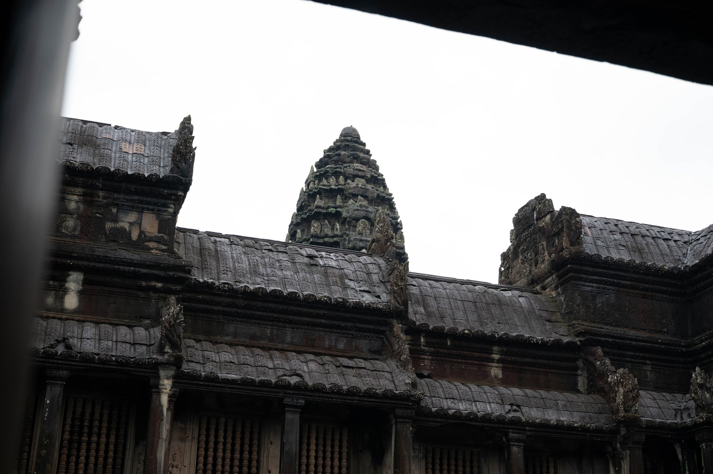 DSC_8201.jpg