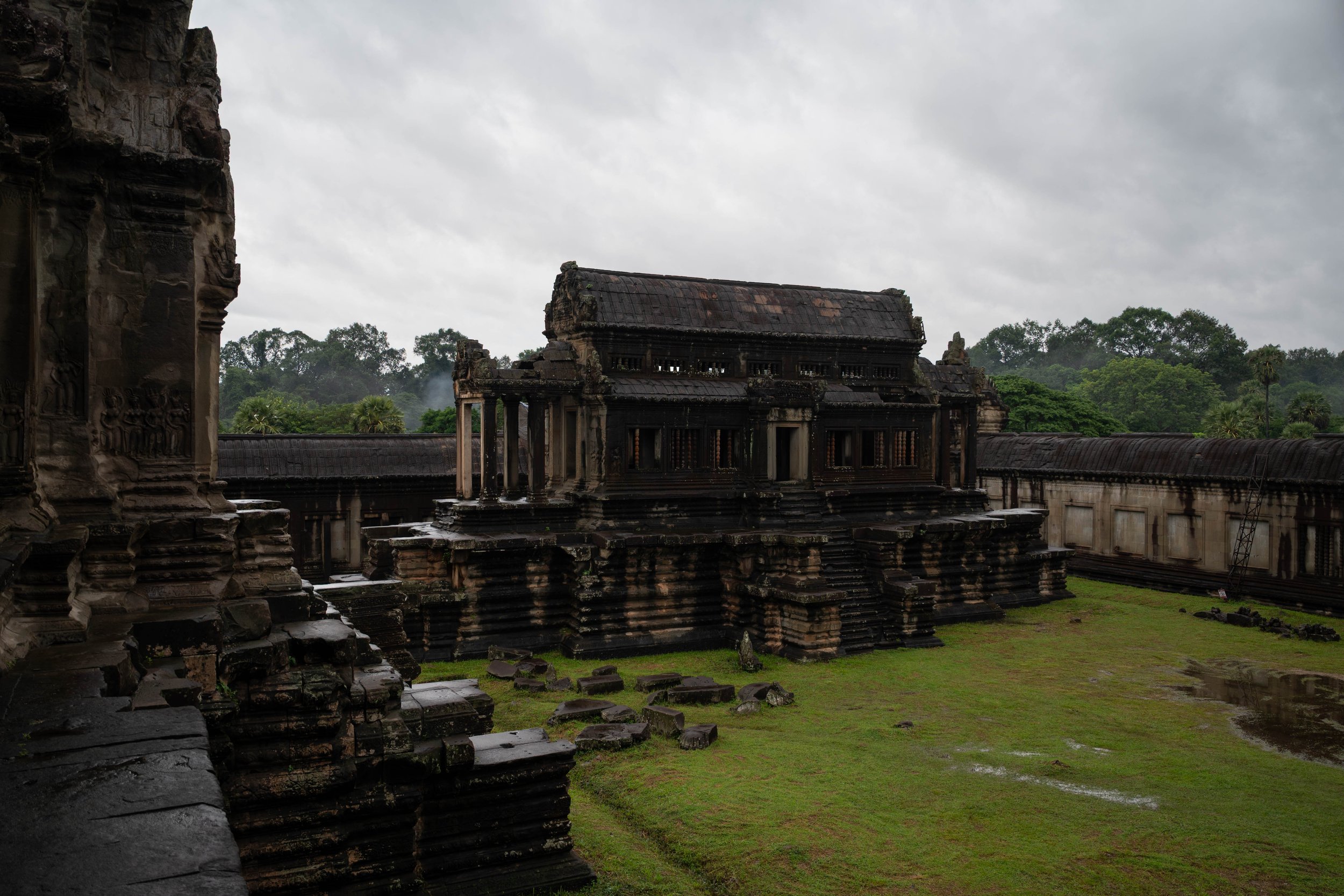 DSC_8224.jpg
