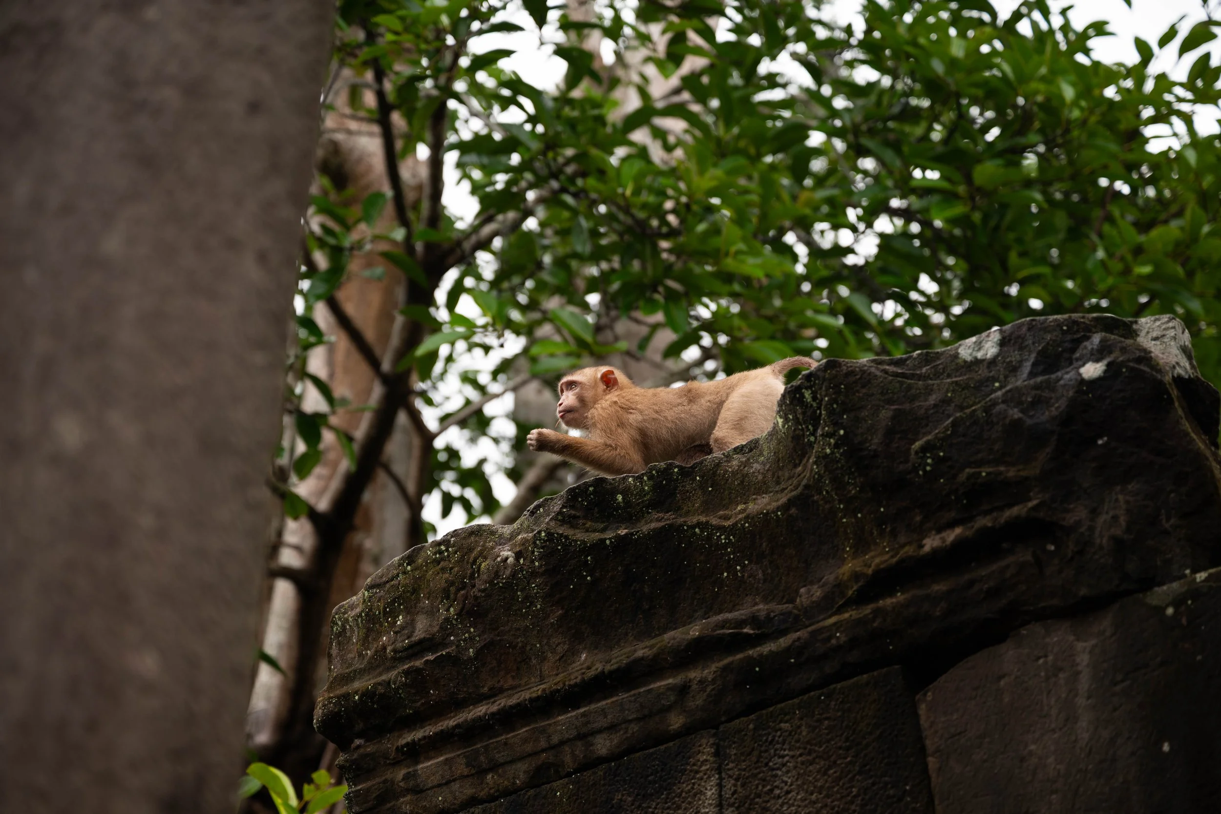 DSC_8292.jpg