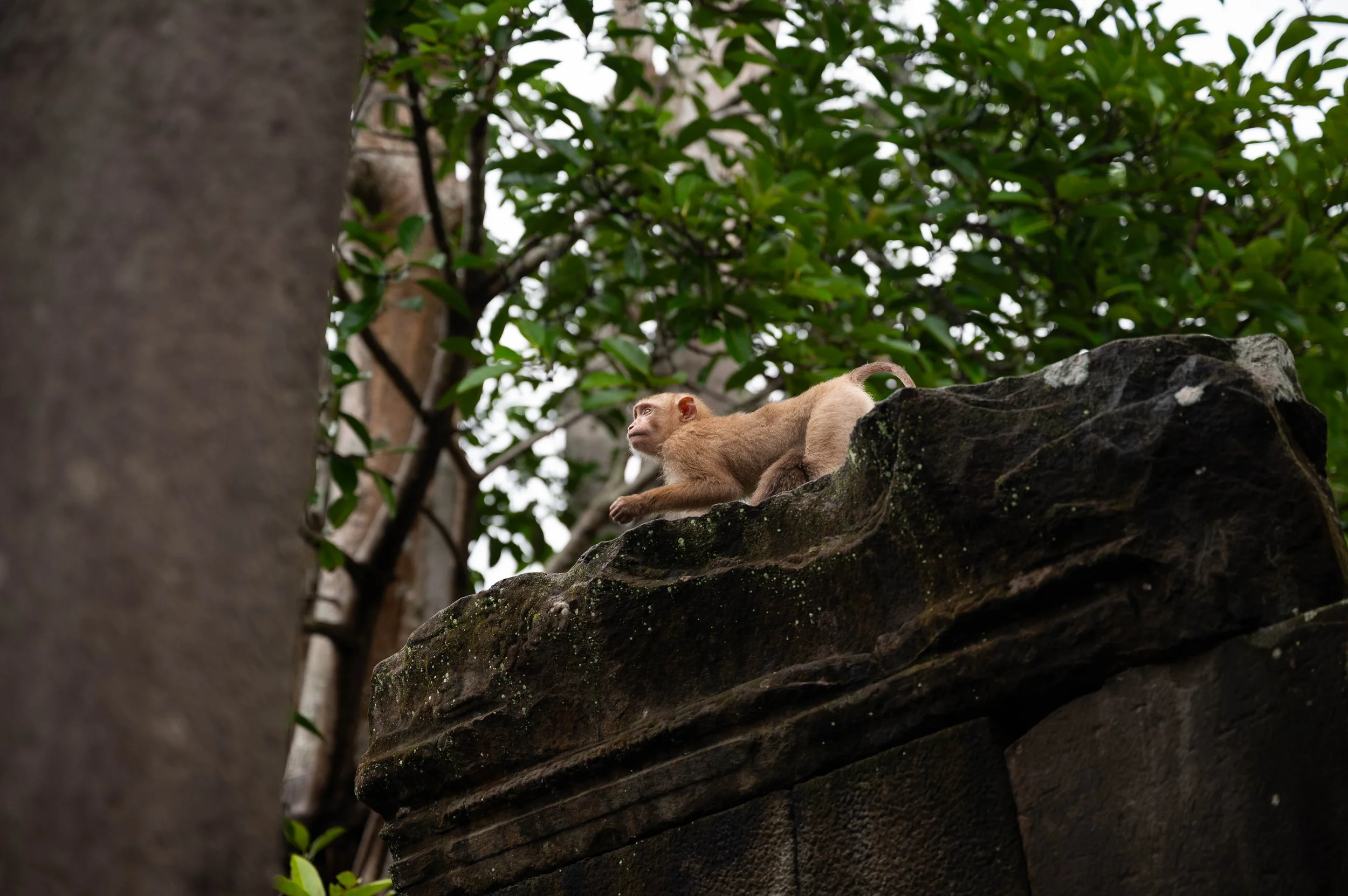 DSC_8293.jpg