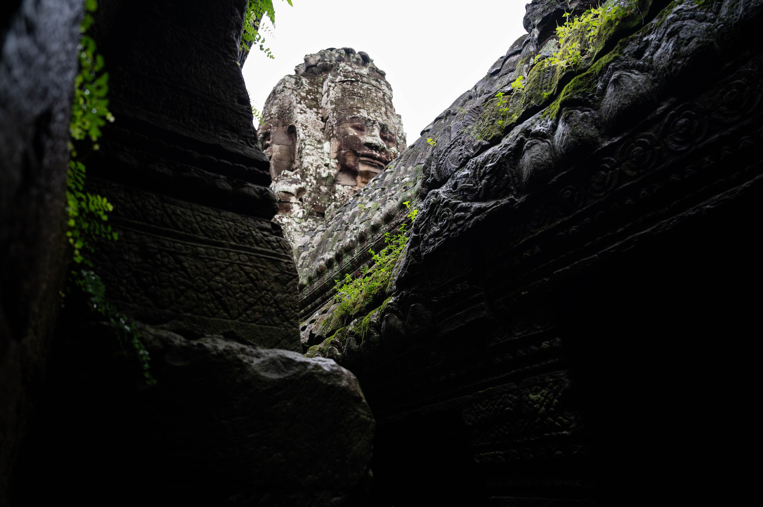 DSC_8335.jpg