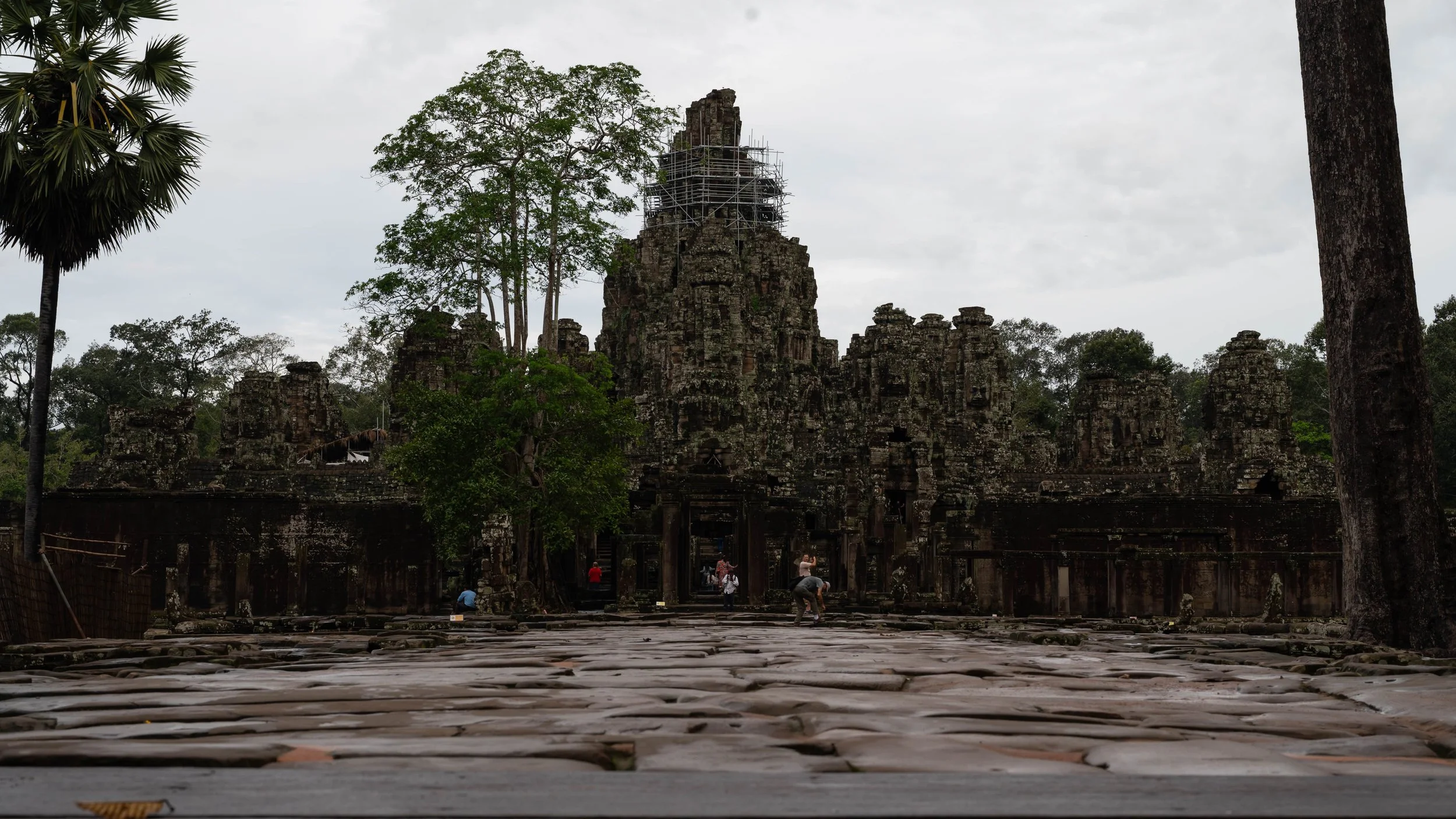 DSC_8376.jpg