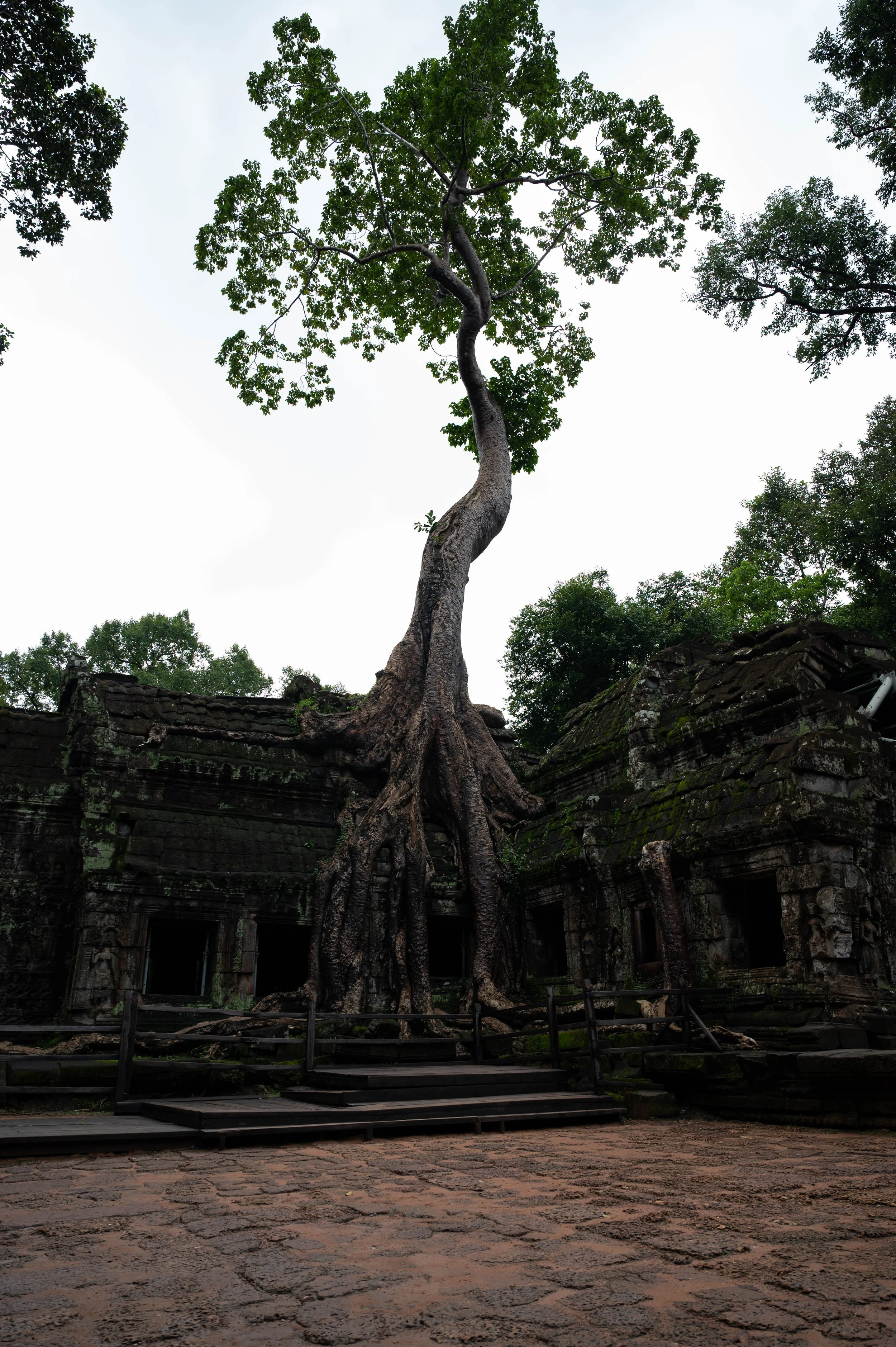 DSC_8605.jpg