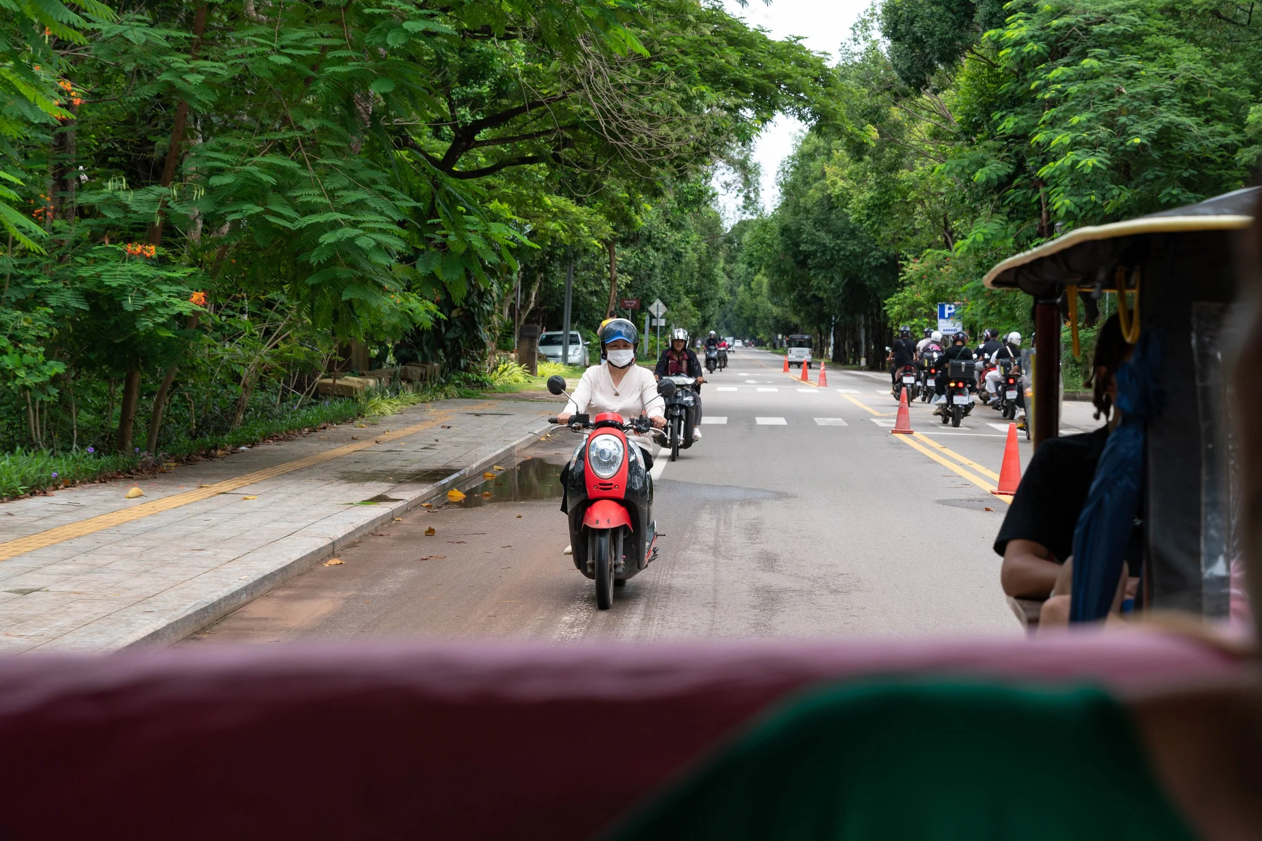 DSC_8648.jpg