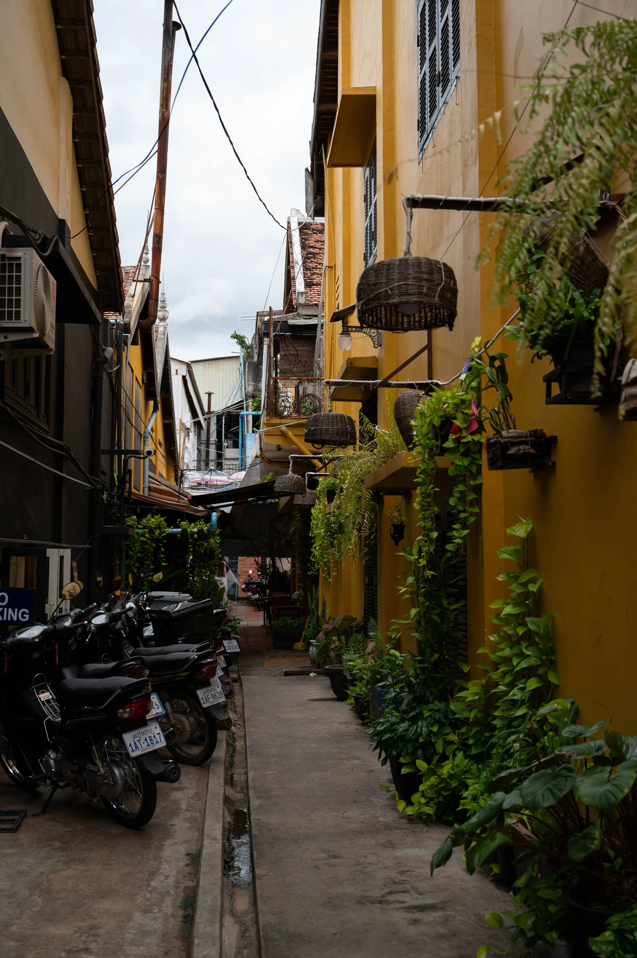 DSC_8885.jpg