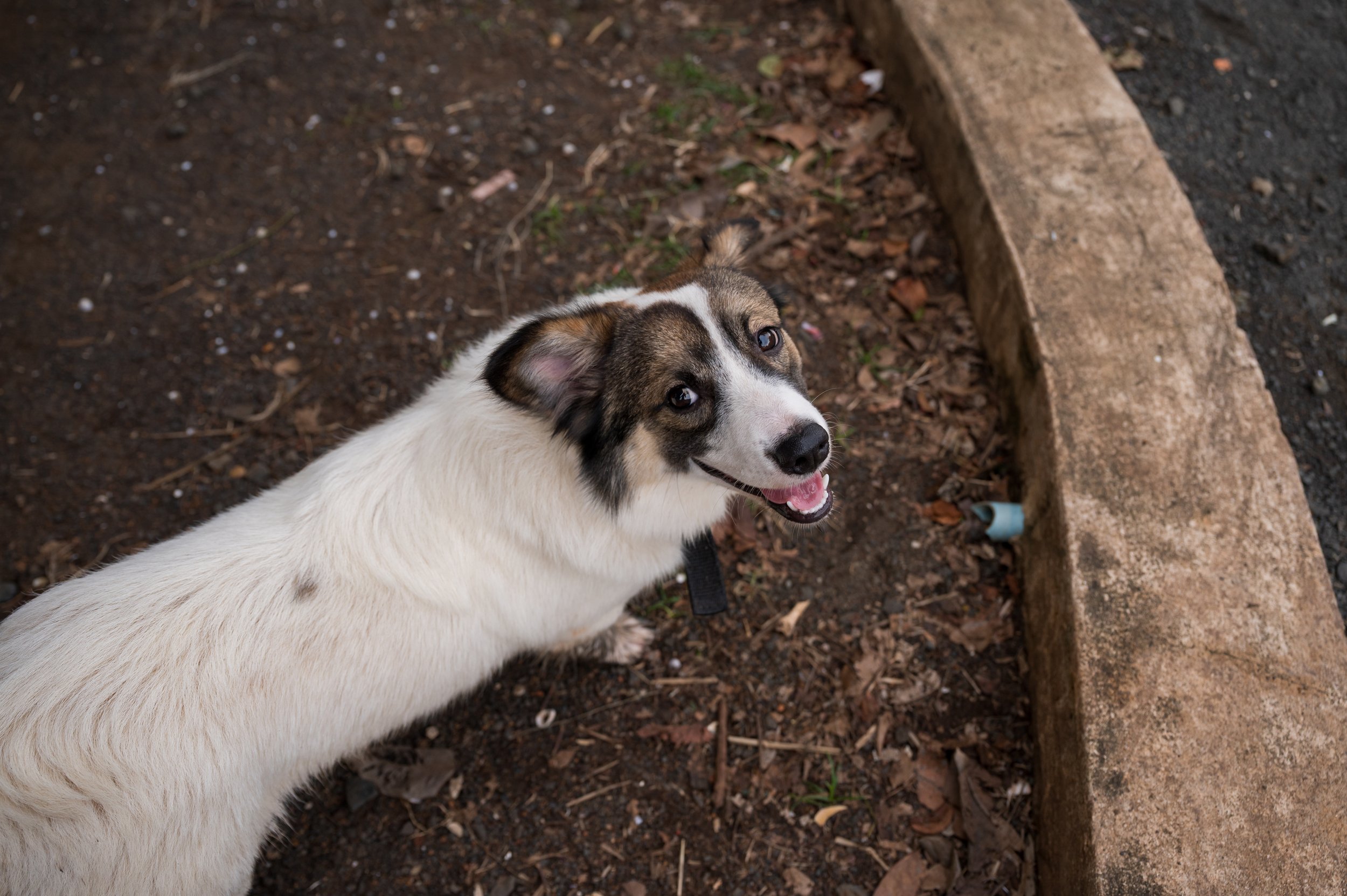 DSC_9051.jpg