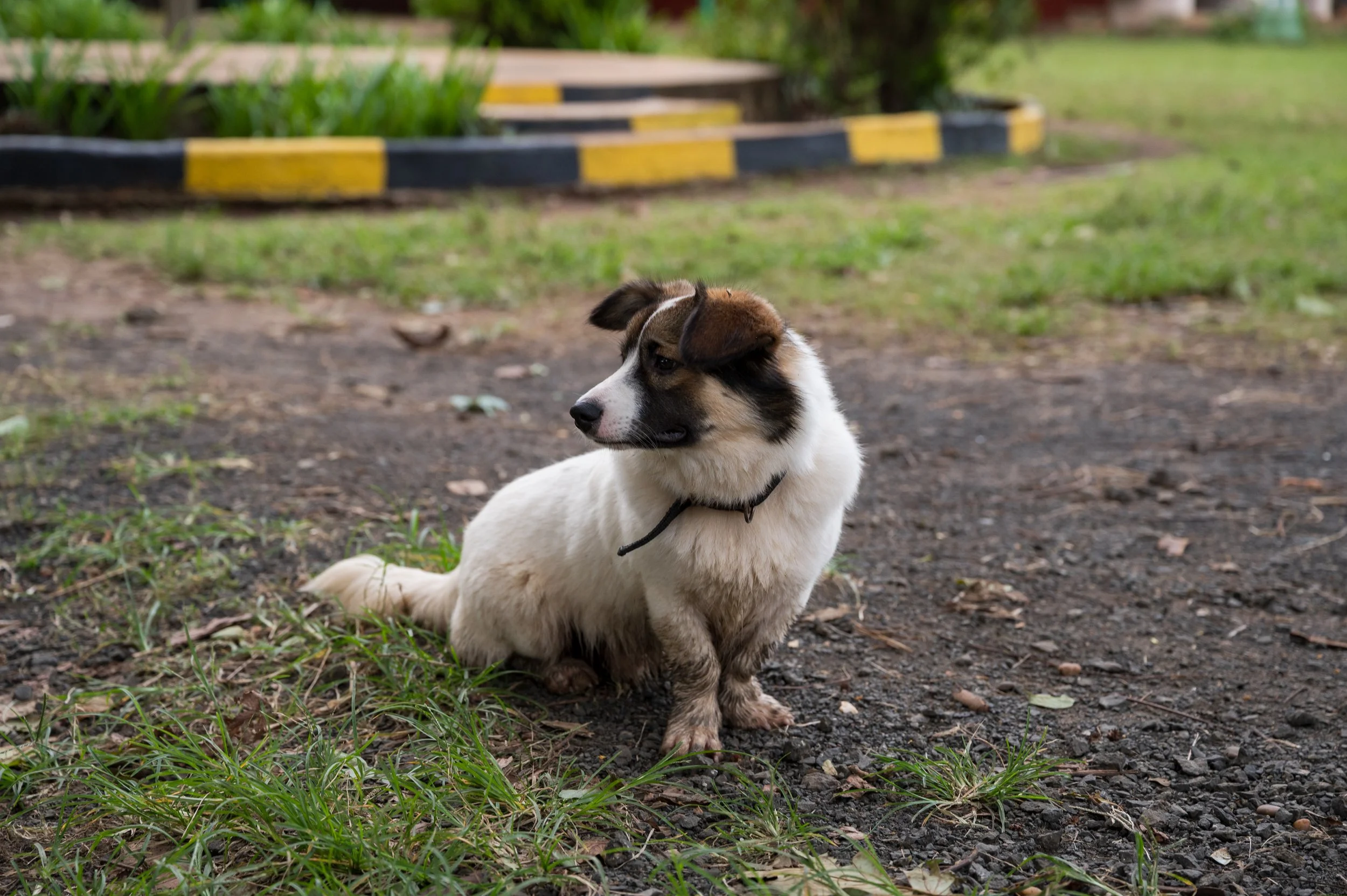 DSC_9086.jpg