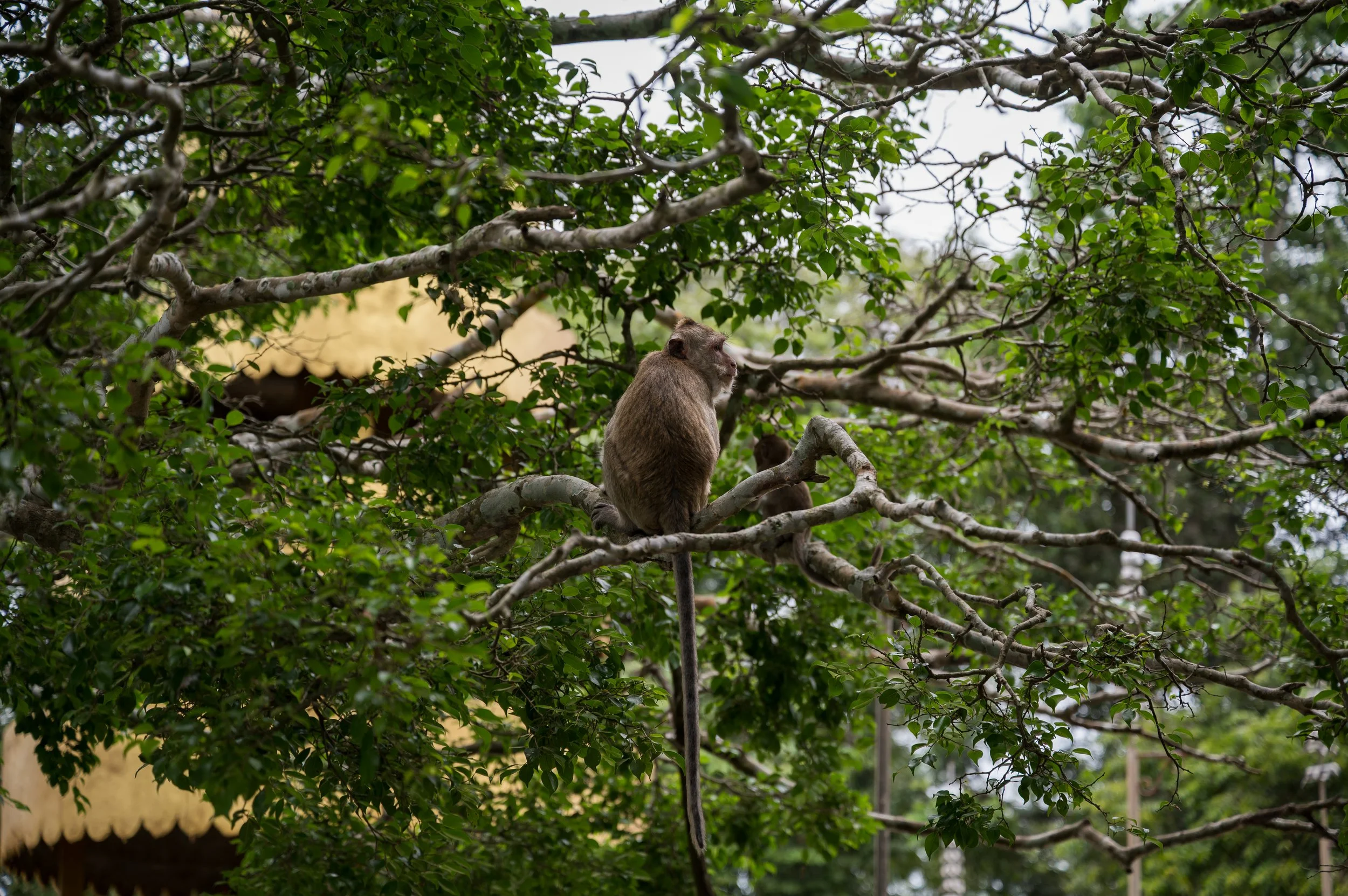 DSC_0018.jpg