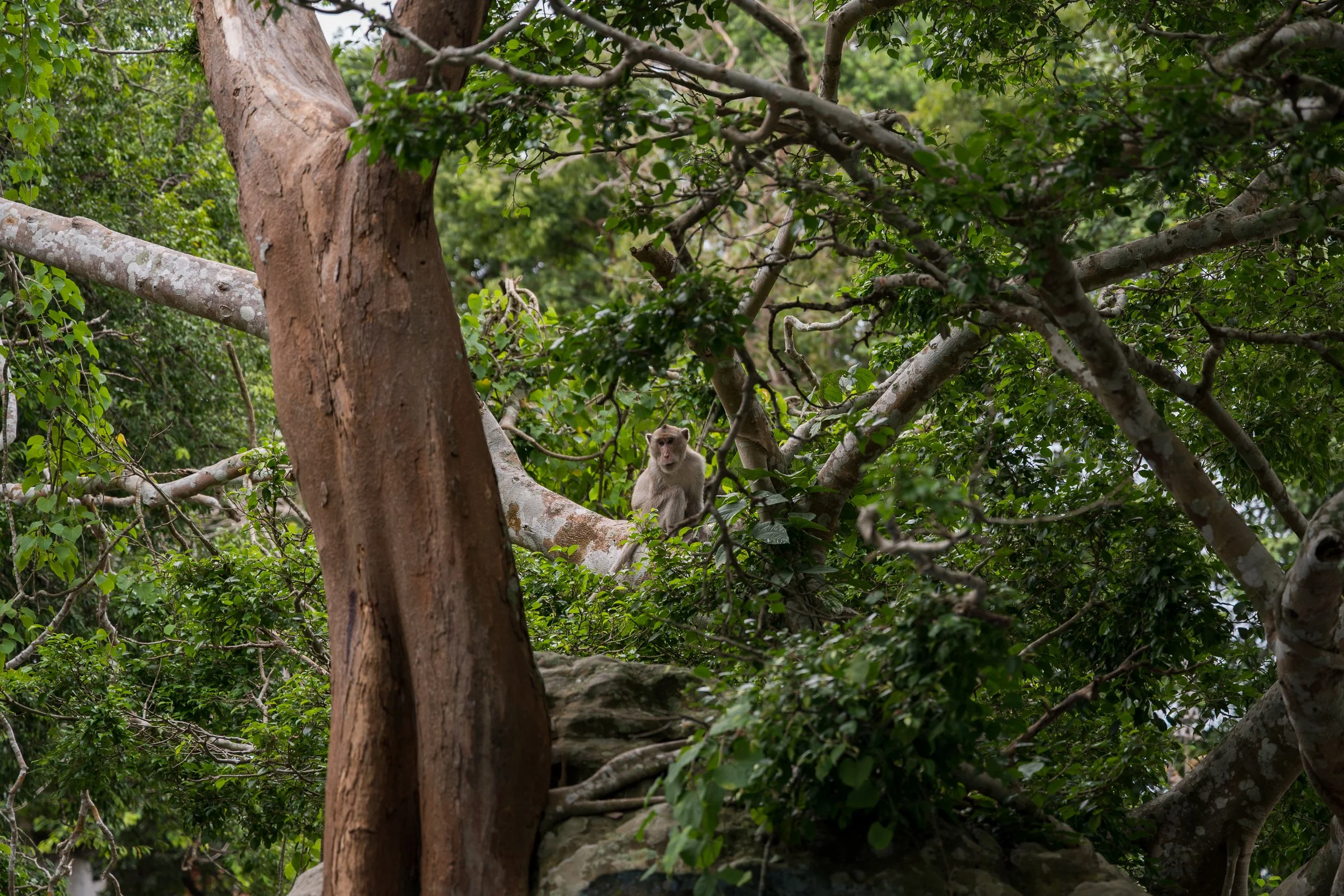 DSC_0024.jpg