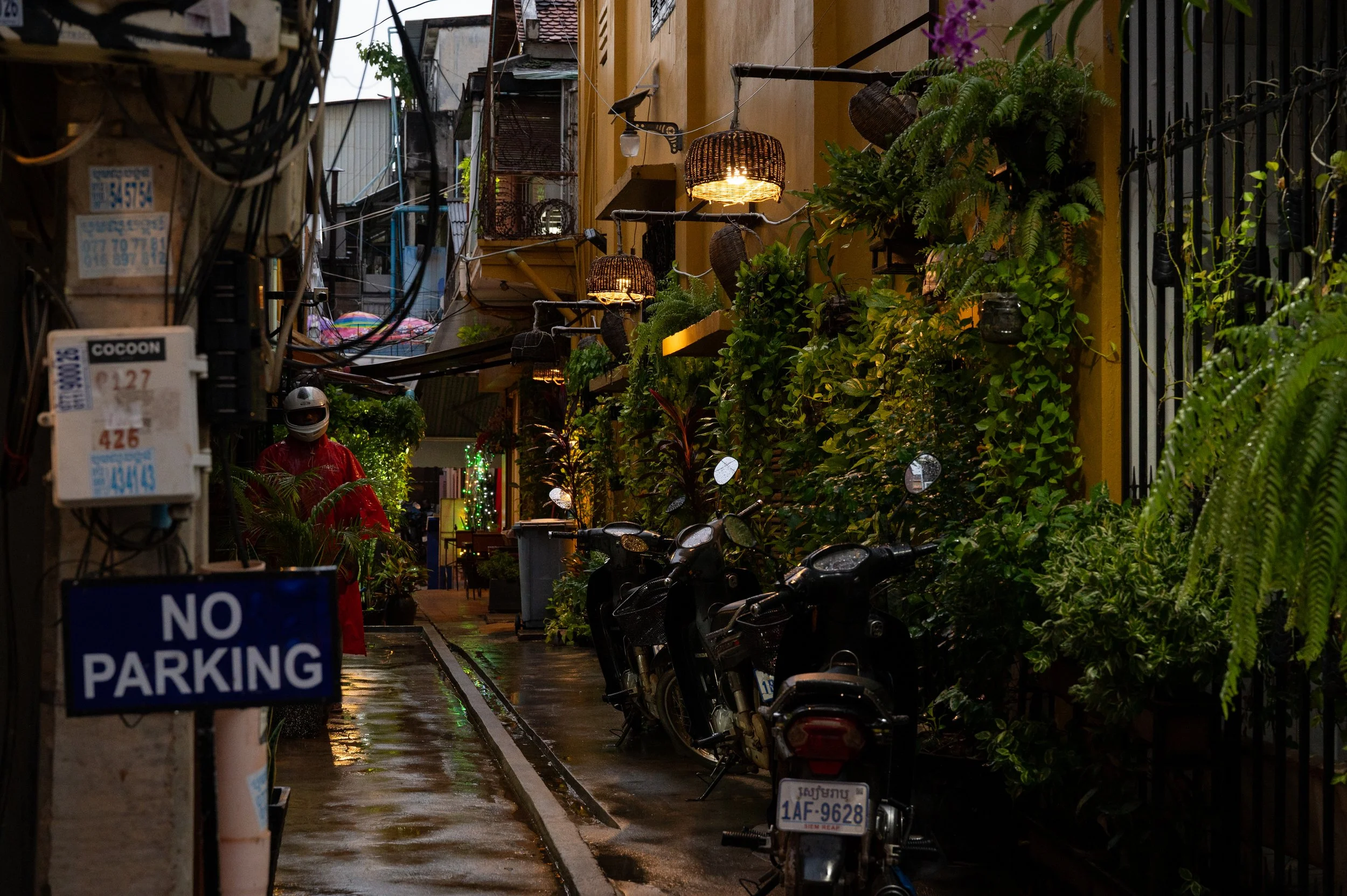 DSC_1248.jpg