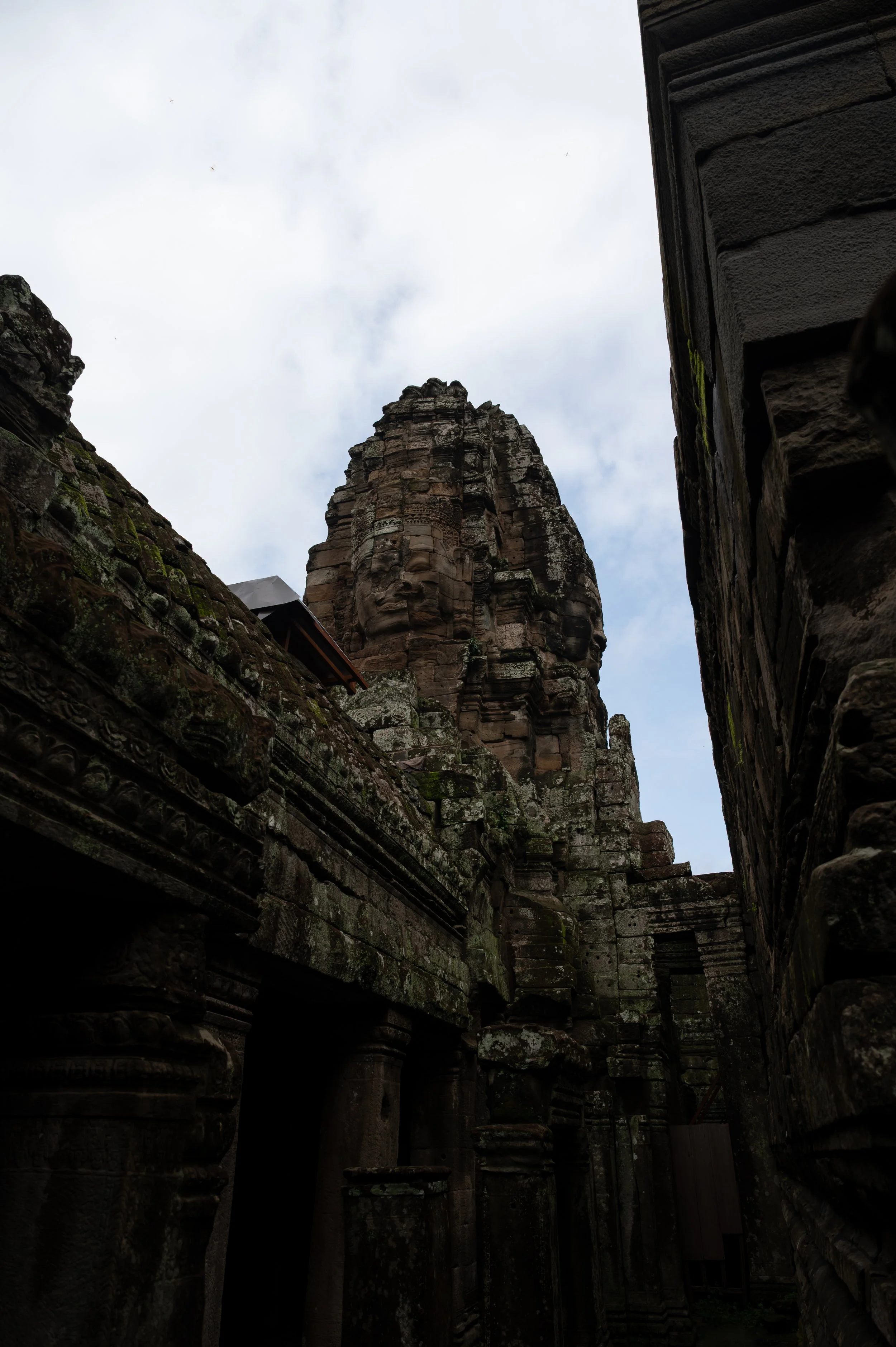 DSC_1856.jpg