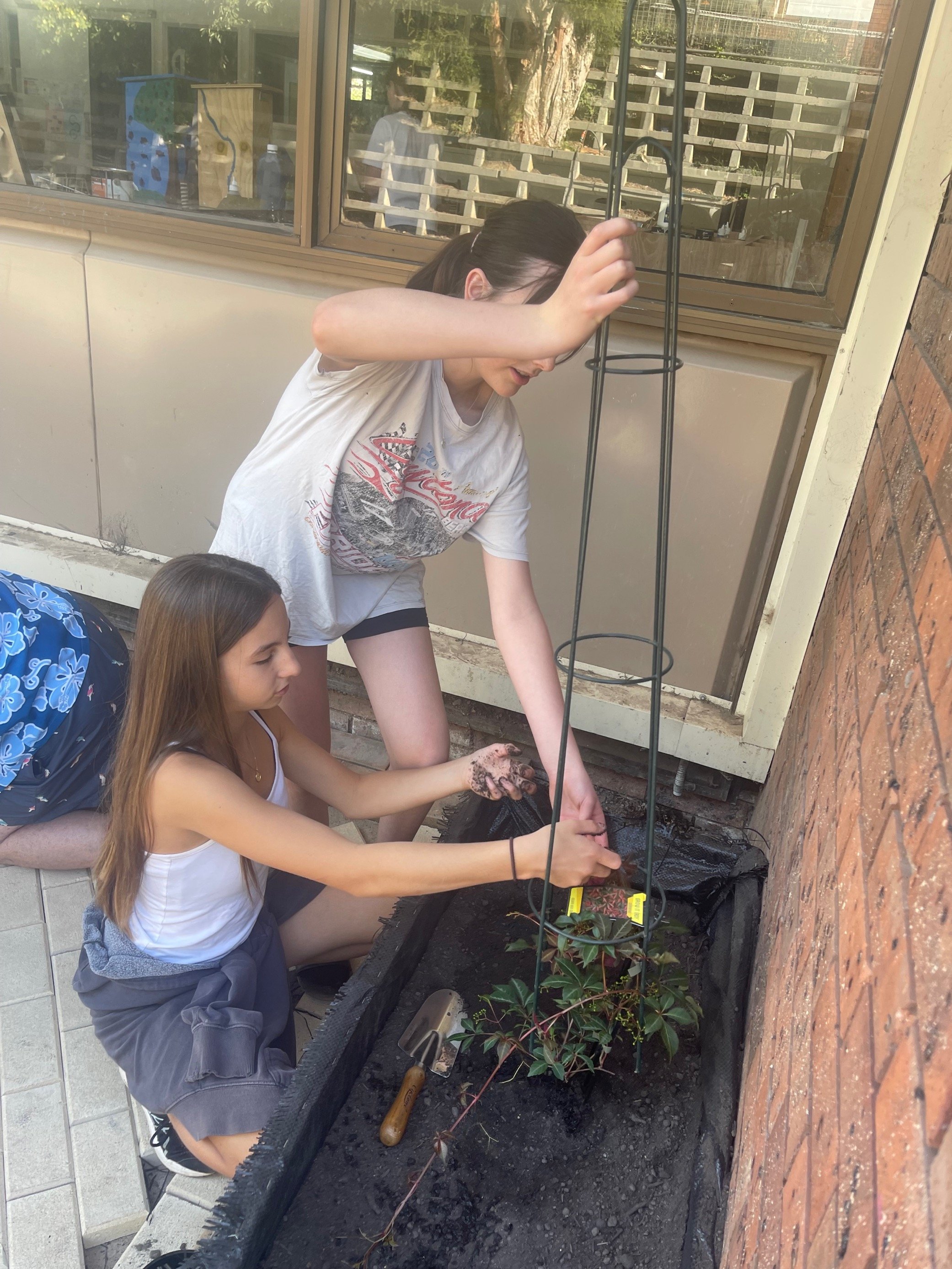 Creating the outdoor MAP space 🌿