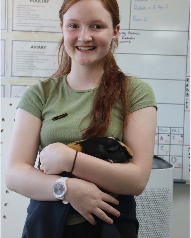 Welcome to the first of our &ldquo;Meet the Headkeeper&rdquo; Series! A student endeavour to introduce our awesome Head Keepers to our wider community. First up- introducing Lulu, who oversees our Guinea Pigs. 

🐾1.How long have you been in the prog