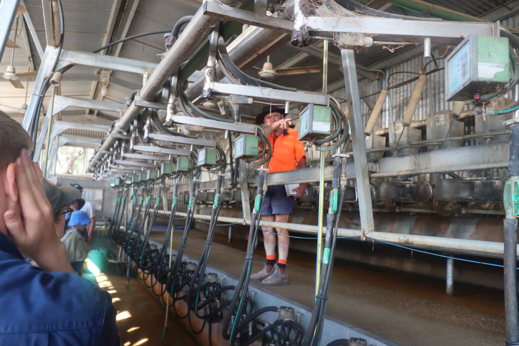Dairy Farm Visit