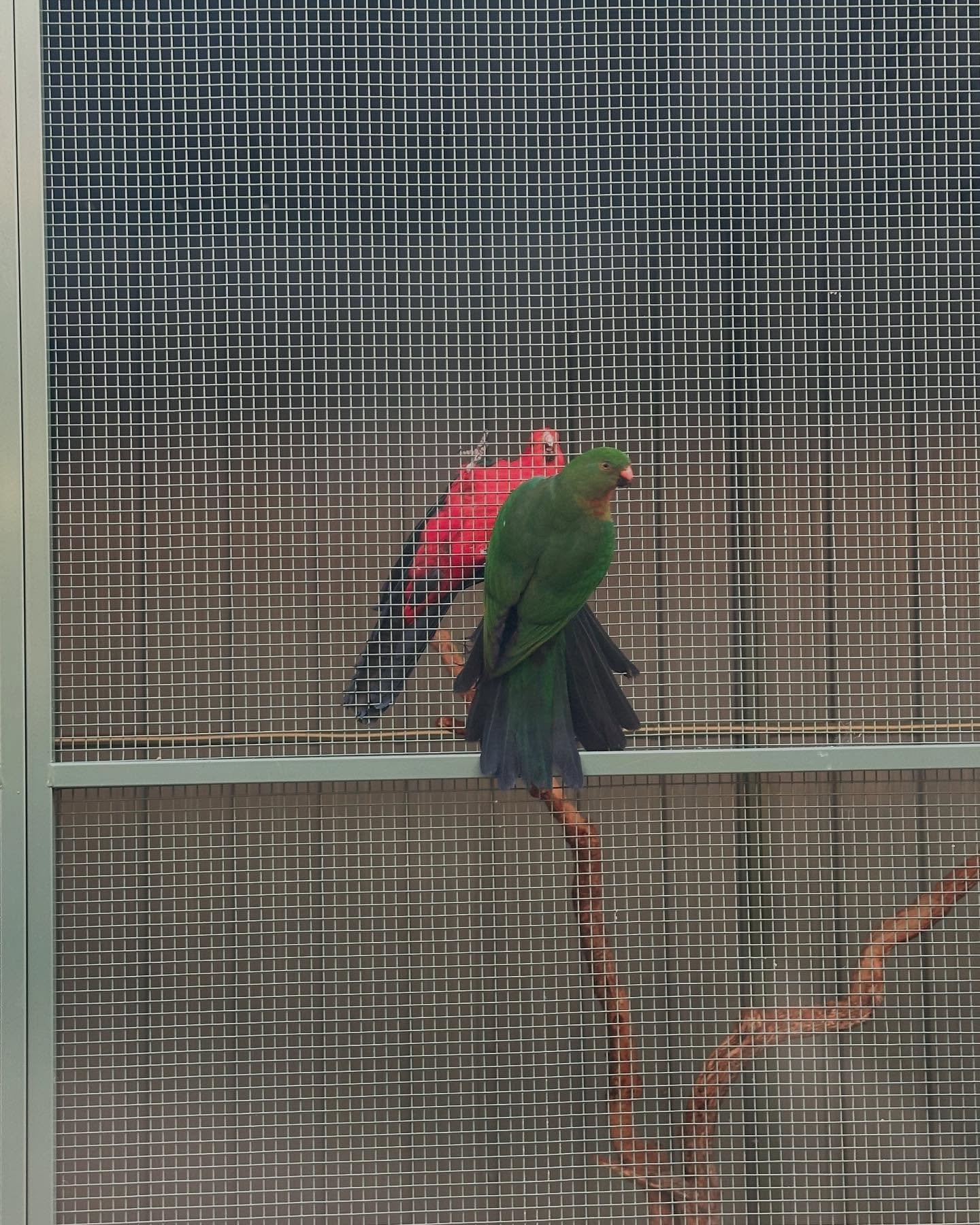 Felt like I was interrupting a secret meeting this morning on arrival to TC!