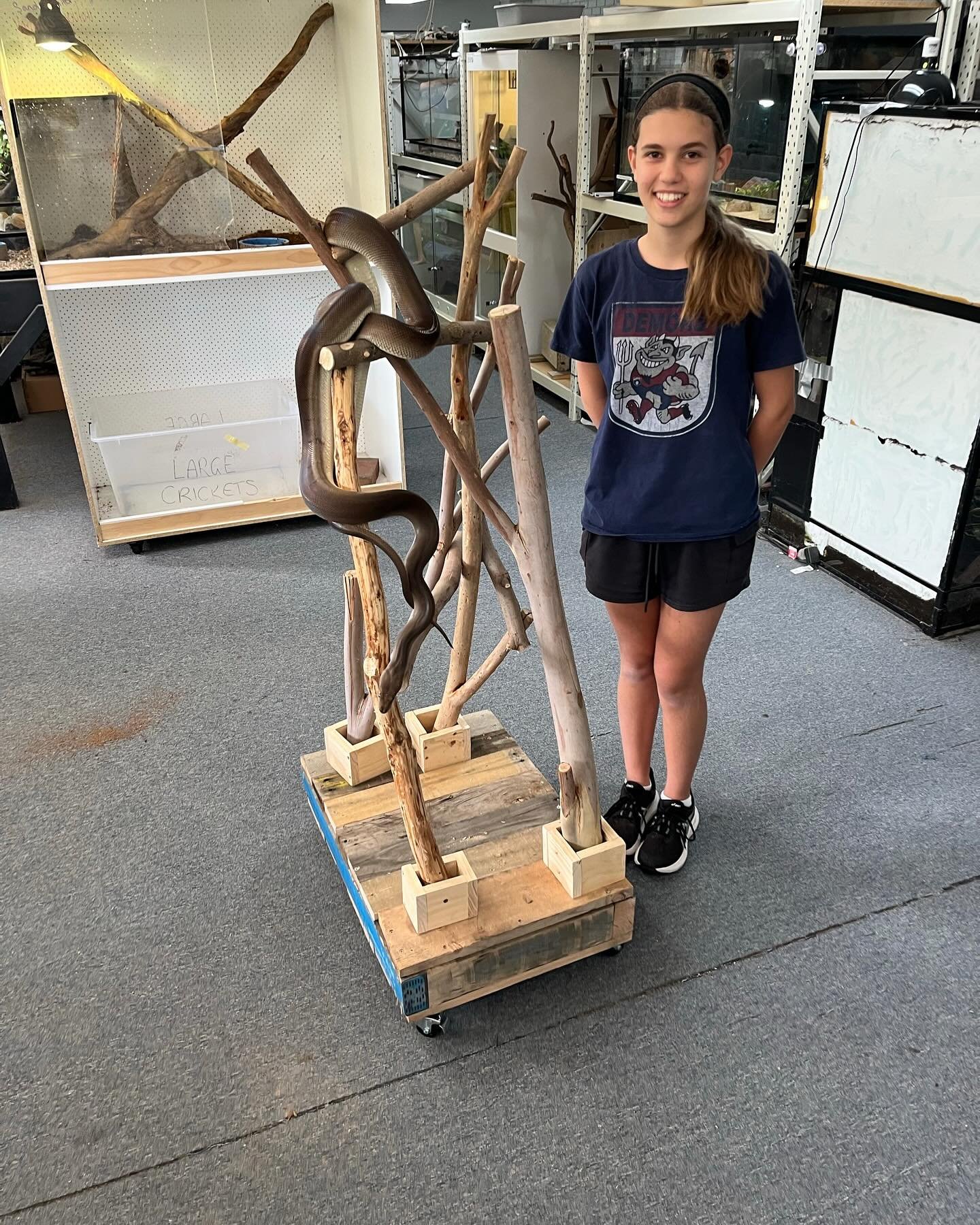 In a phenomenal display of cross-curricular collaboration, students of the Trade Training class have been hard at work collaborating with members of the school community to complete helpful projects in areas of need.
Alex, Josh, Layla, Freya and Meg