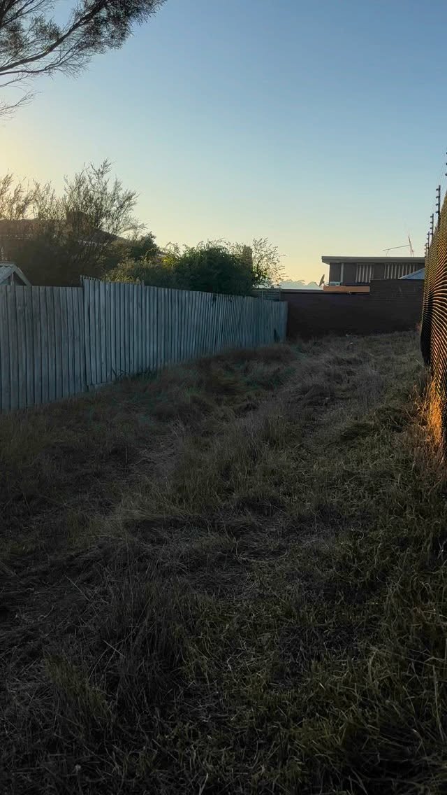Have you ever seen a pig get the zoomies?
Take a moment out of your busy day to watch Sherman enjoying a morning stretch and run in the grass 💕💕