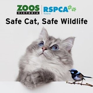 STEM Design Challenge Submissions!
Following on from the Zoos Victoria Youth Leadership program which I attended last year, I have been working on a project around fighting extinction and raising awareness for wildlife. After completing this project