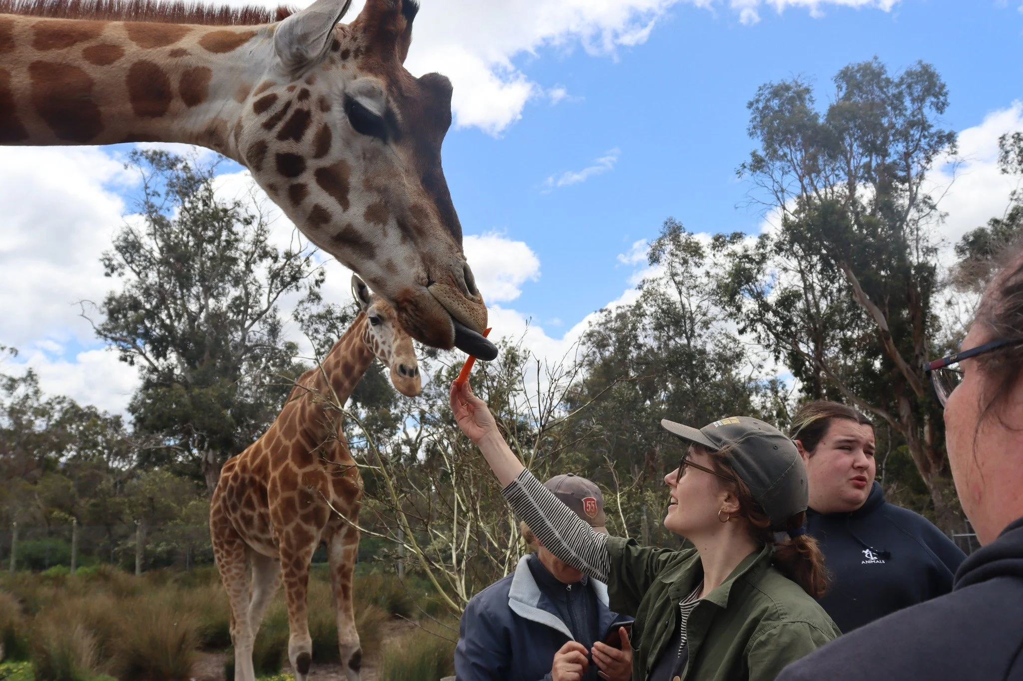 Zoo camp = 20 students, one week, hard work and endless animals 🐾We hiked, we mulched, we froze our toes off in waterfalls ❄️💦&hellip; and somehow survived the ice-cream-stealing rosellas 🍦🦜 10/10 would do it again (bring layers next time) 😎🔥