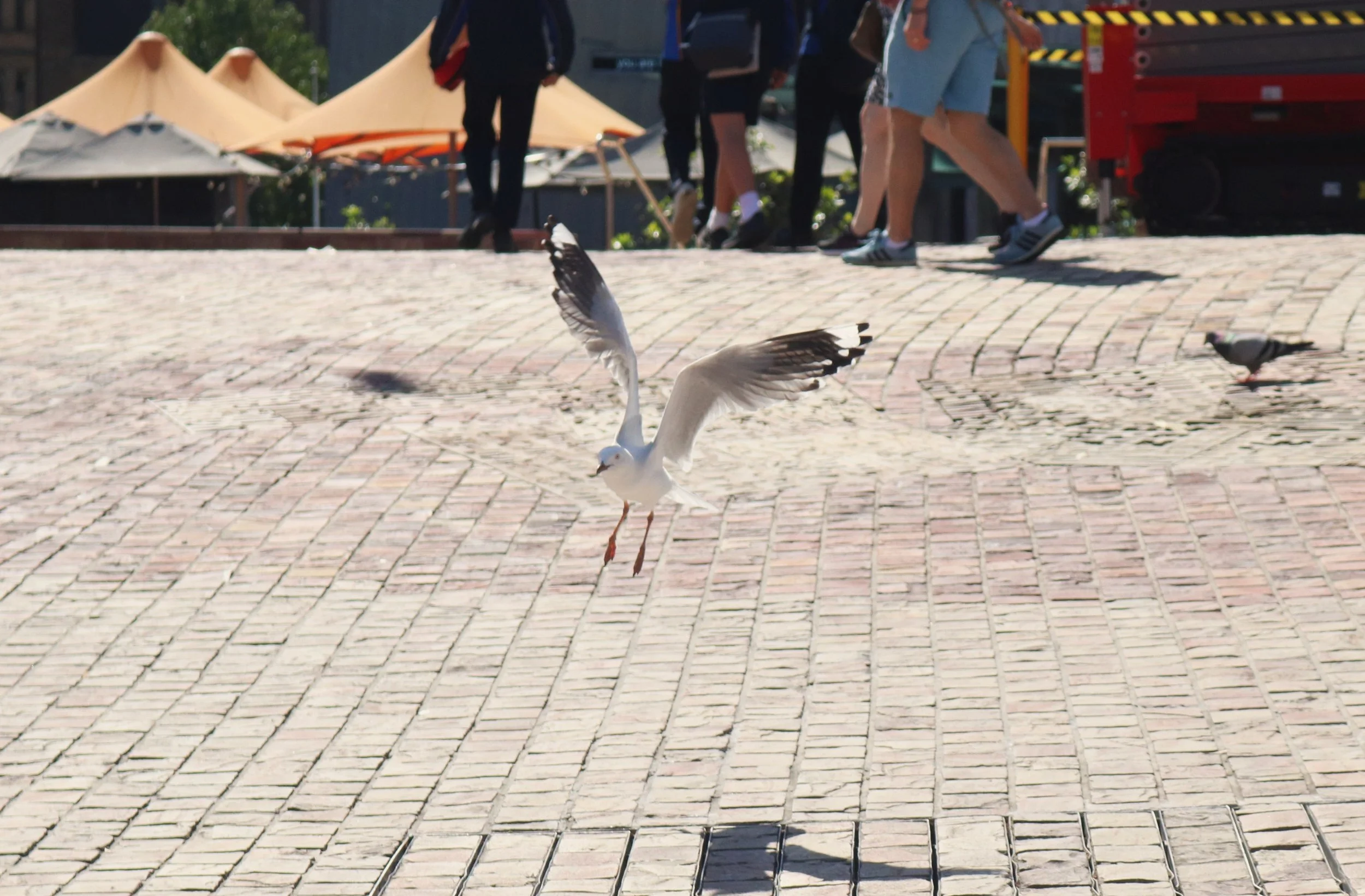 By Toby Porter (7).jpg