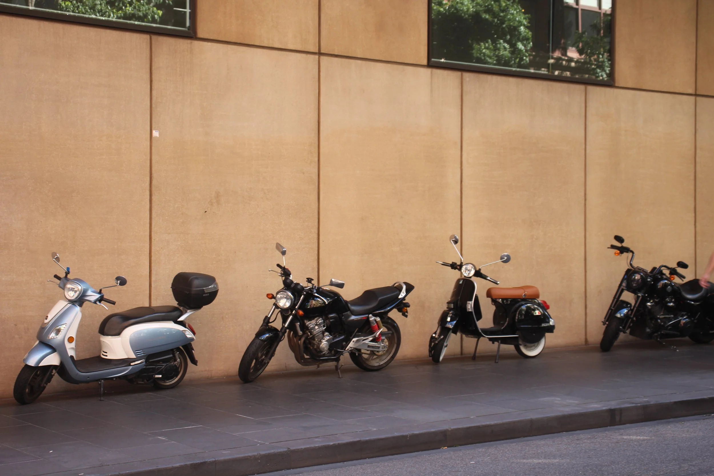 Lacey WEARNE (7).jpg