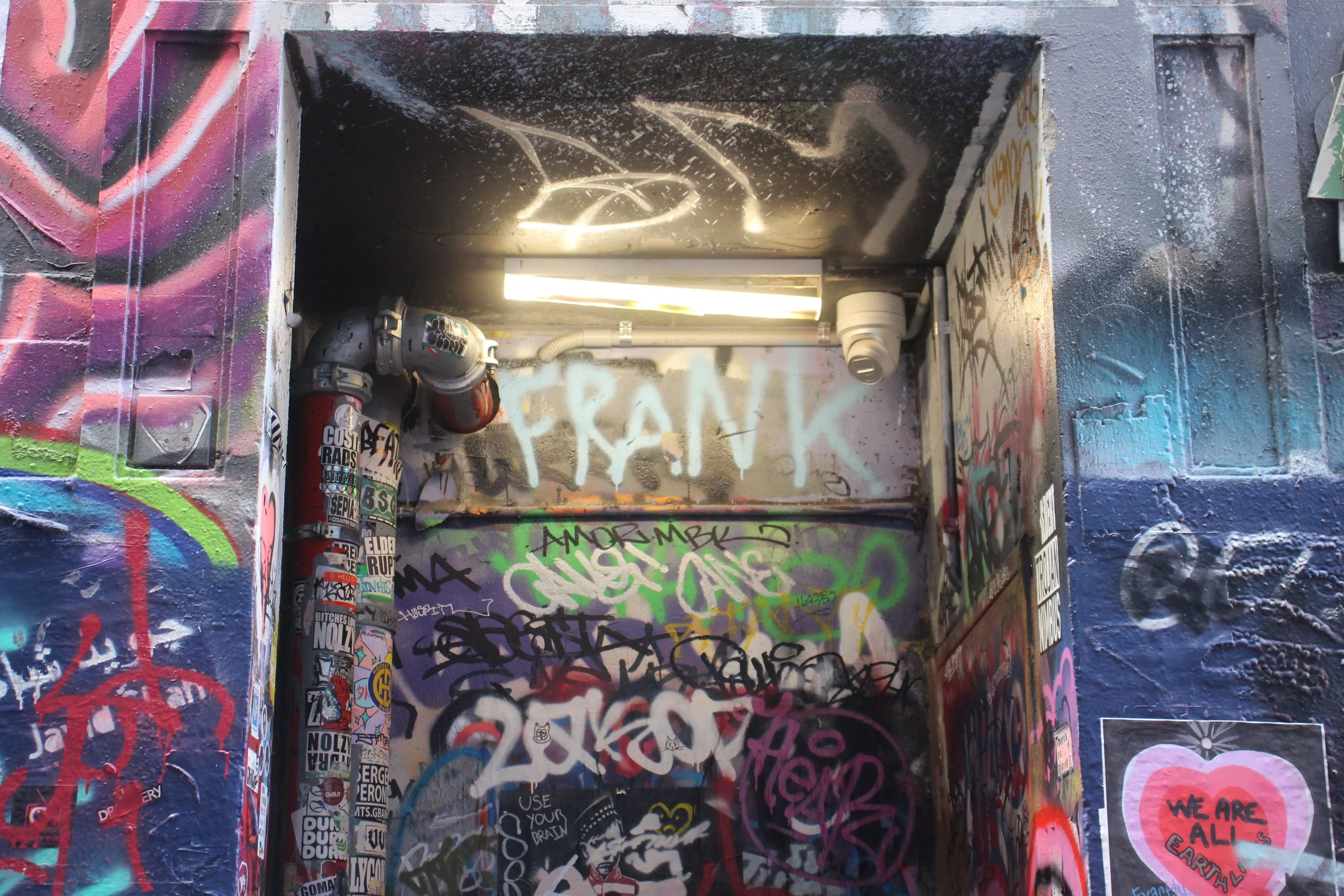 Lacey WEARNE (13).jpg