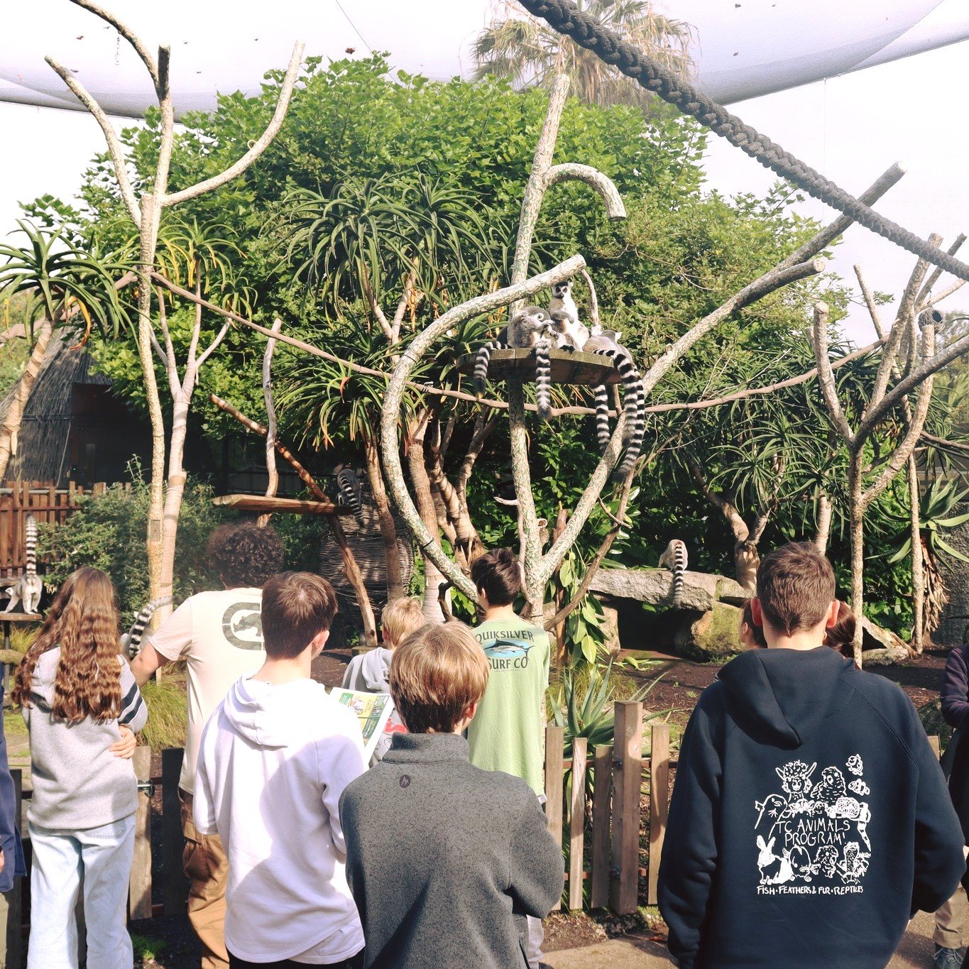 An unforgettable day of hands-on learning at Melbourne Zoo for our Zoology &amp; Ecology students! 🦁✨

Students explored conservation challenges, designed tracking tech for endangered species and enjoyed checking out the animals. Snow leopard cubs w