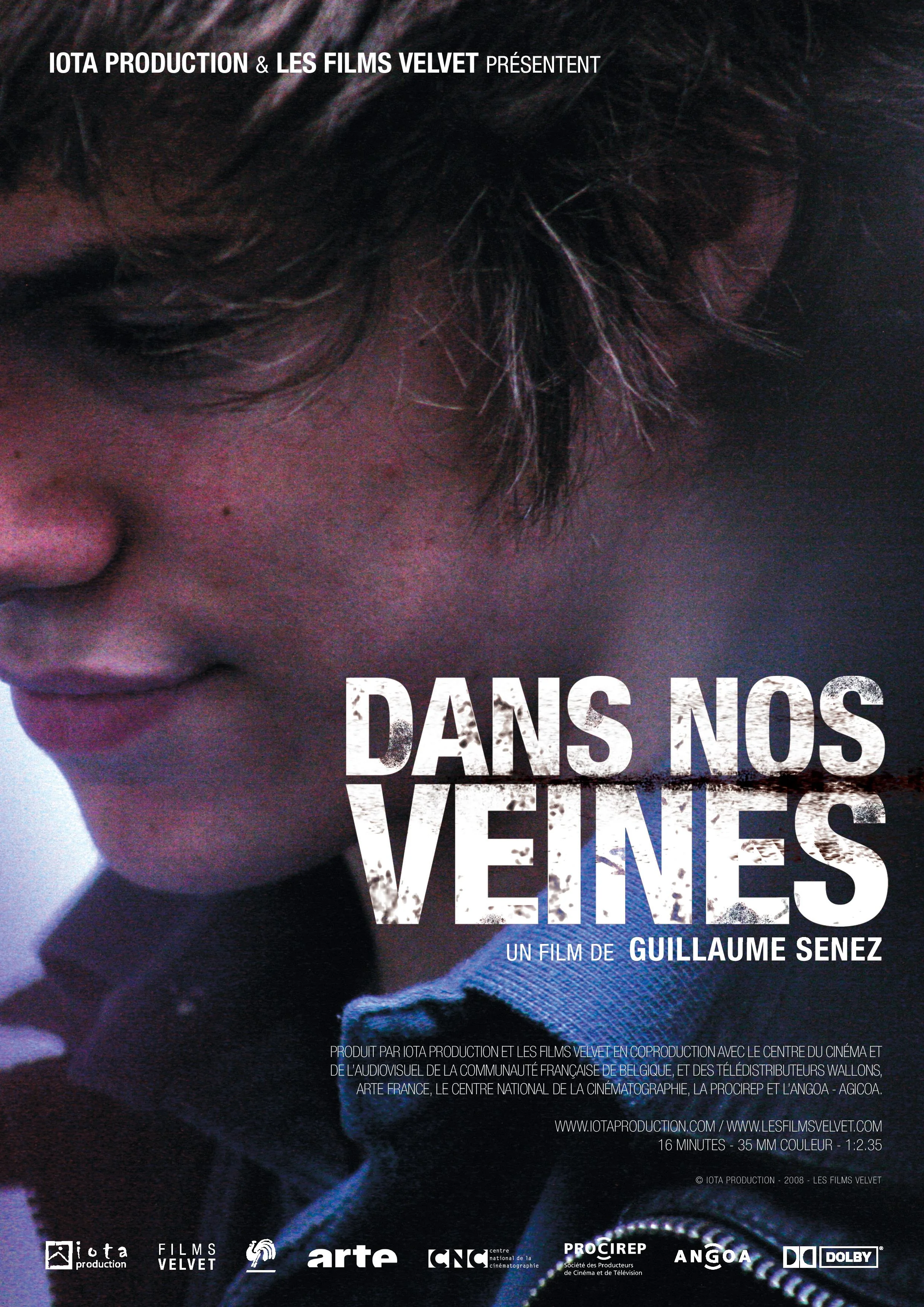affiche_DNV_def-page-001.jpg