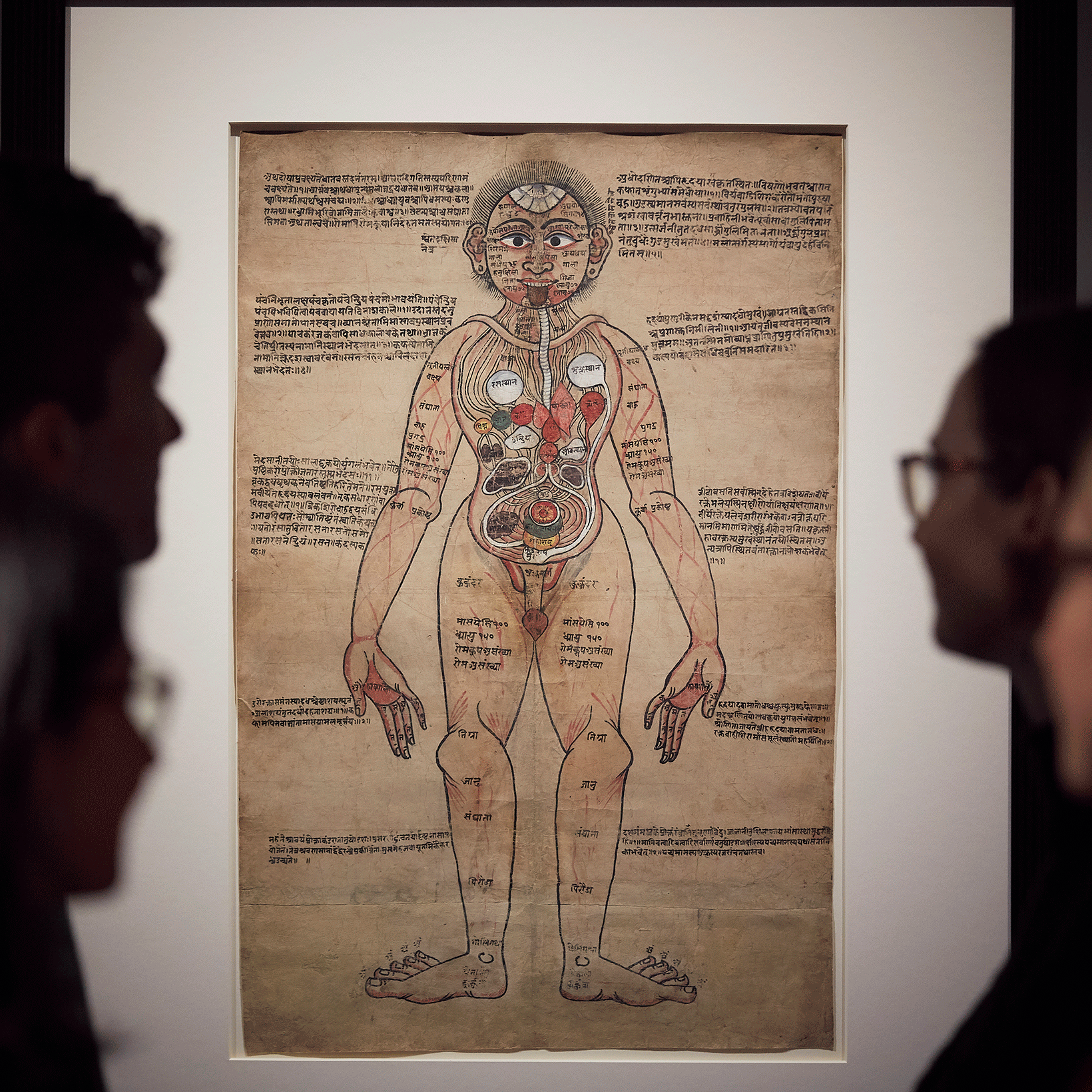 "Ayurvedic Man," photo from Wellcome Collection