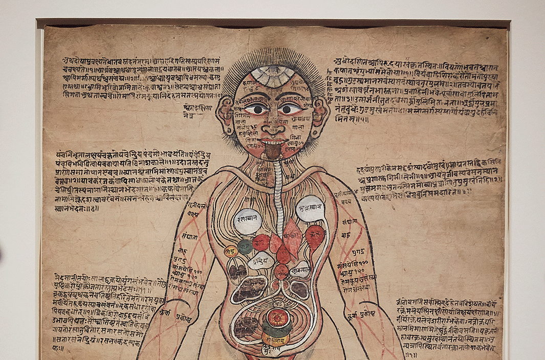 AYURVEDIC MAN EXHIBITION AT WELLCOME COLLECTION