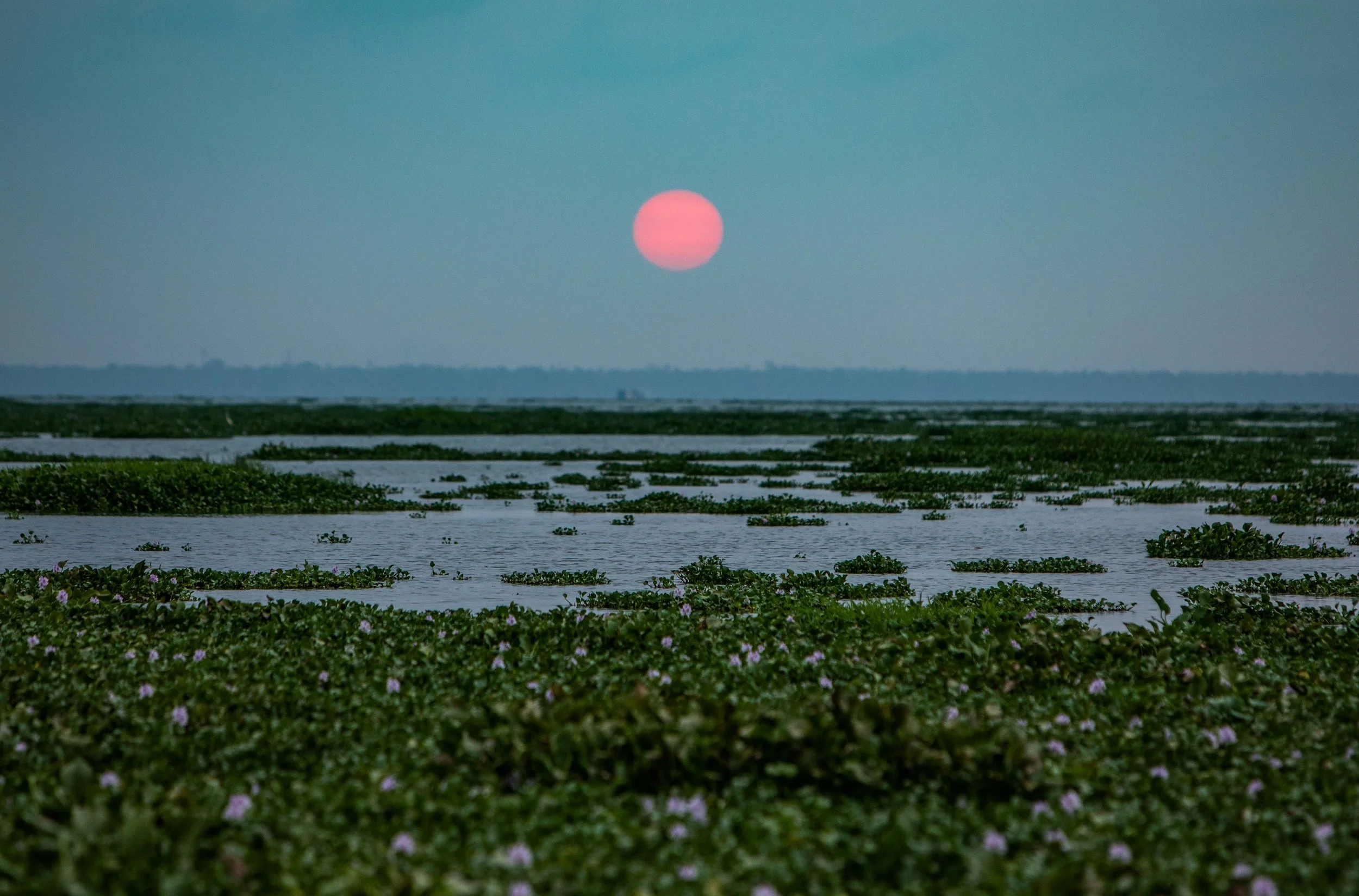 Meraki_BlogPost_2019-8648.jpg