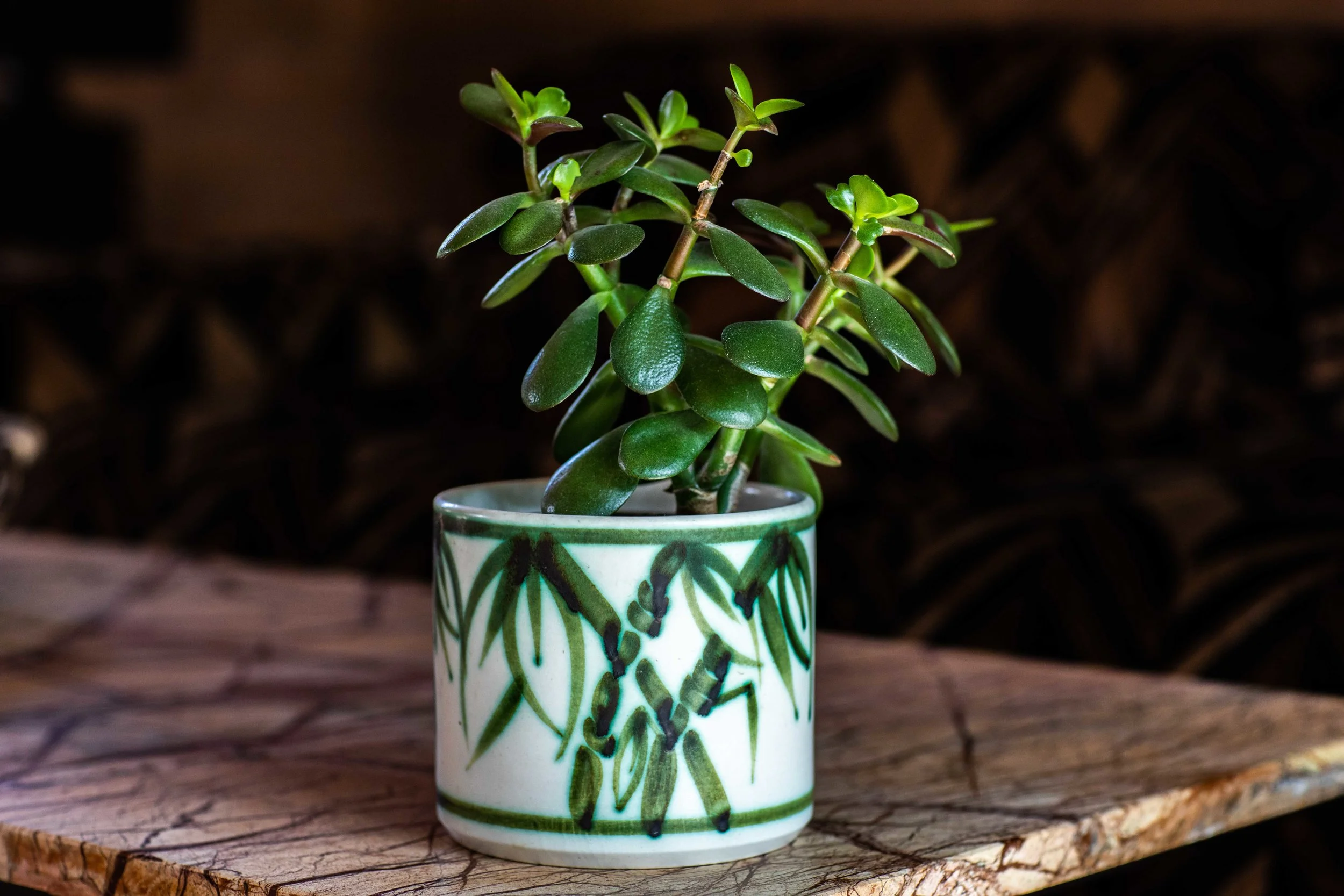 JasmineHemsley_NickHopper_MoneyTree-1849.jpg