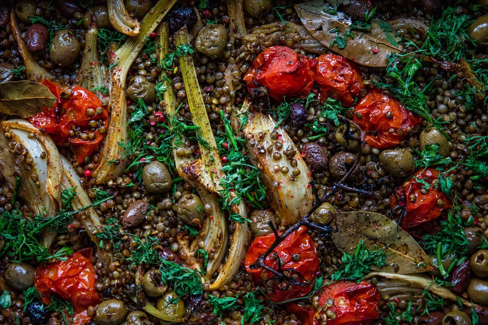 PEPPERY PUY LENTILS WITH FENNEL, OLIVES AND ROAST TOMATOES
